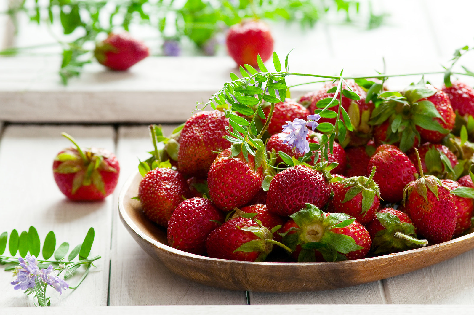 Nikon D300S + AF Nikkor 70-210mm f/4-5.6D sample photo. Organic strawberry photography