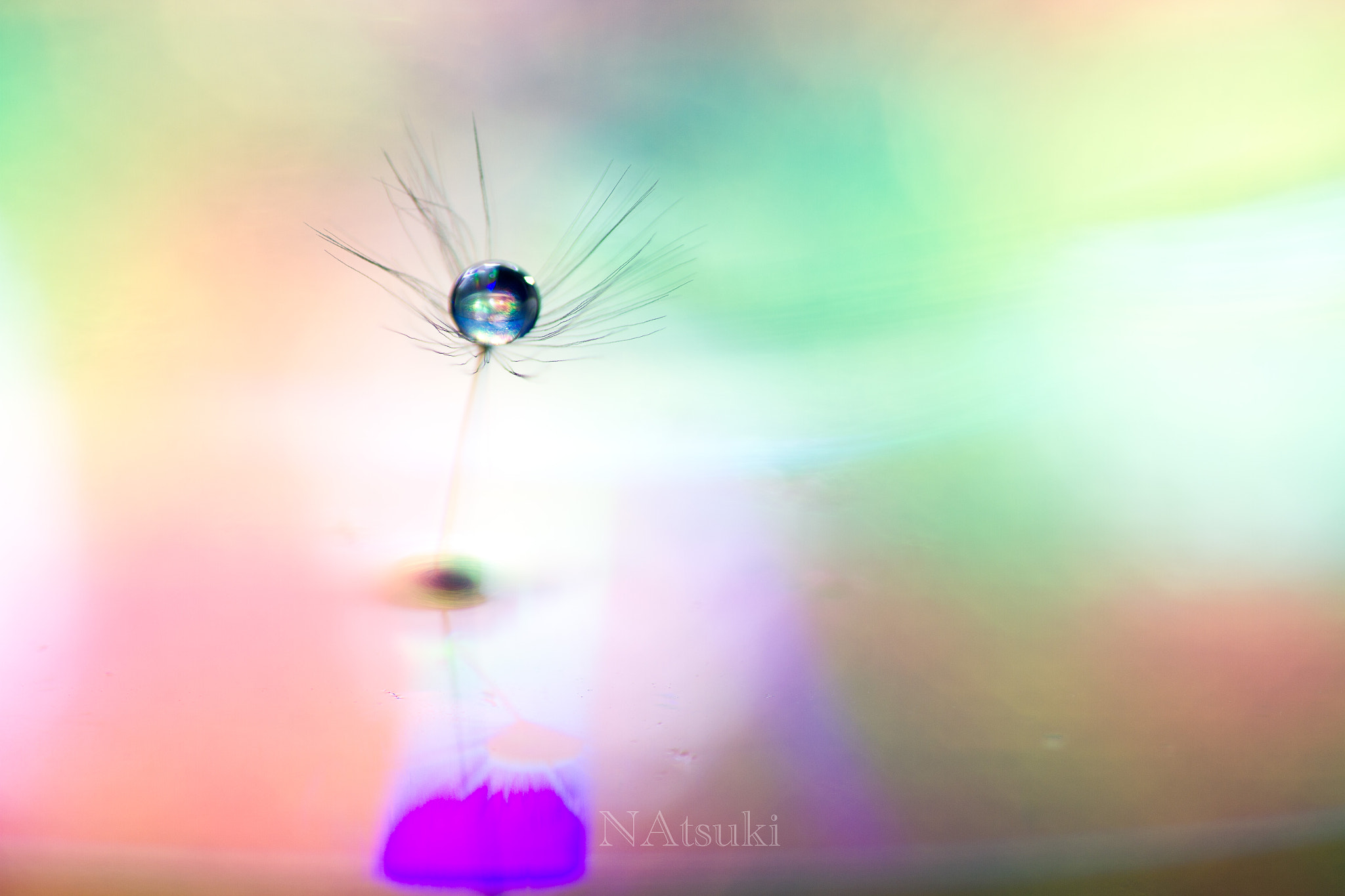 Sigma 50mm f/1.4 EX DG HSM + 1.4x sample photo. Earth photography