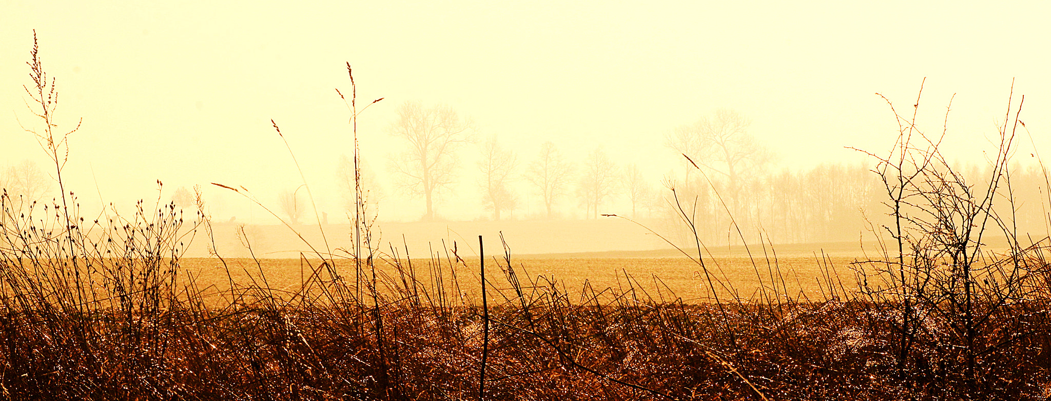 Canon EOS 70D + Canon EF 100mm F2.0 USM sample photo. At the morning photography