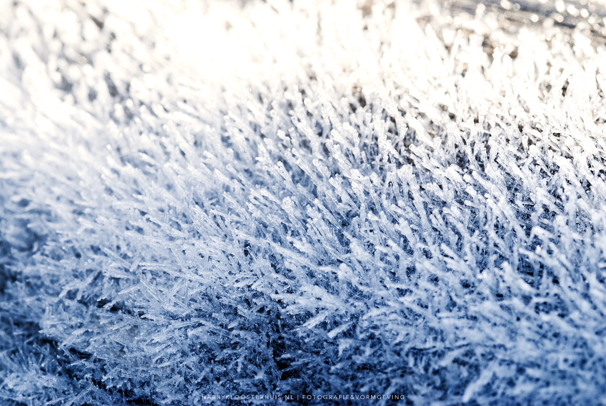 Nikon D80 + Sigma 105mm F2.8 EX DG Macro sample photo. Ice cold photography
