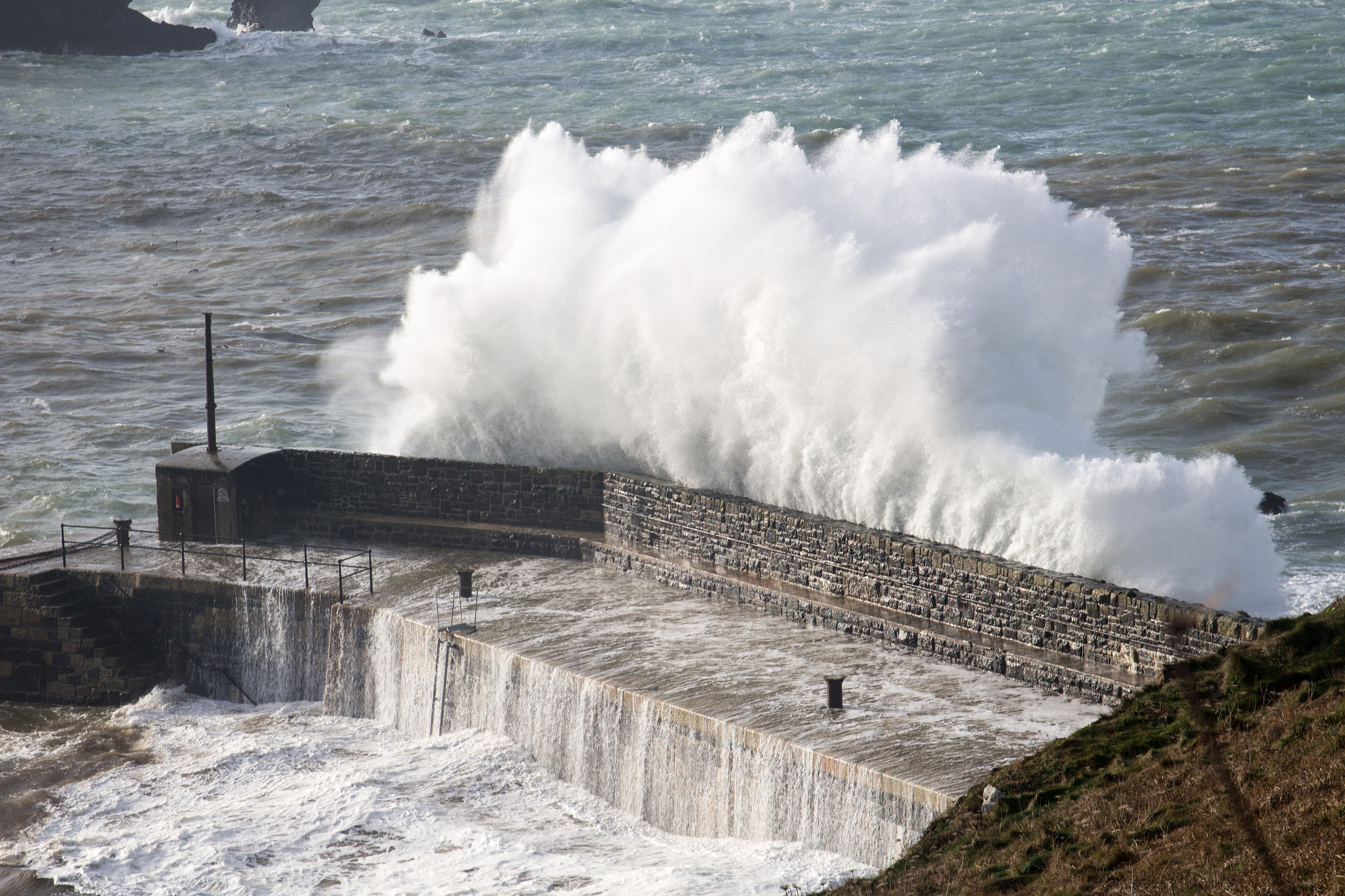 Canon EOS 100D (EOS Rebel SL1 / EOS Kiss X7) + Canon EF 500mm F4L IS USM sample photo. Mullion's big stopper photography