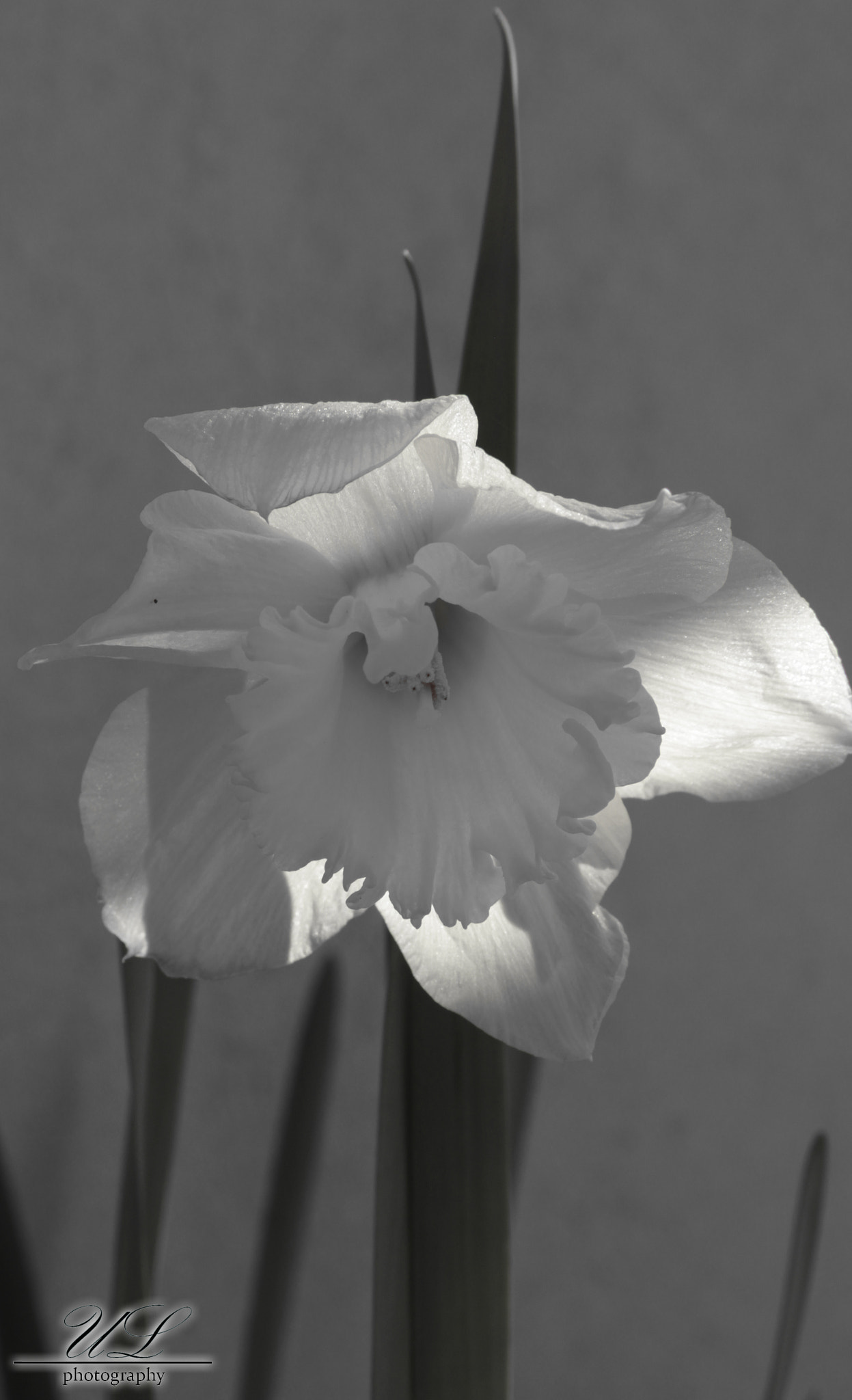 Canon EOS 600D (Rebel EOS T3i / EOS Kiss X5) sample photo. Sad one photography