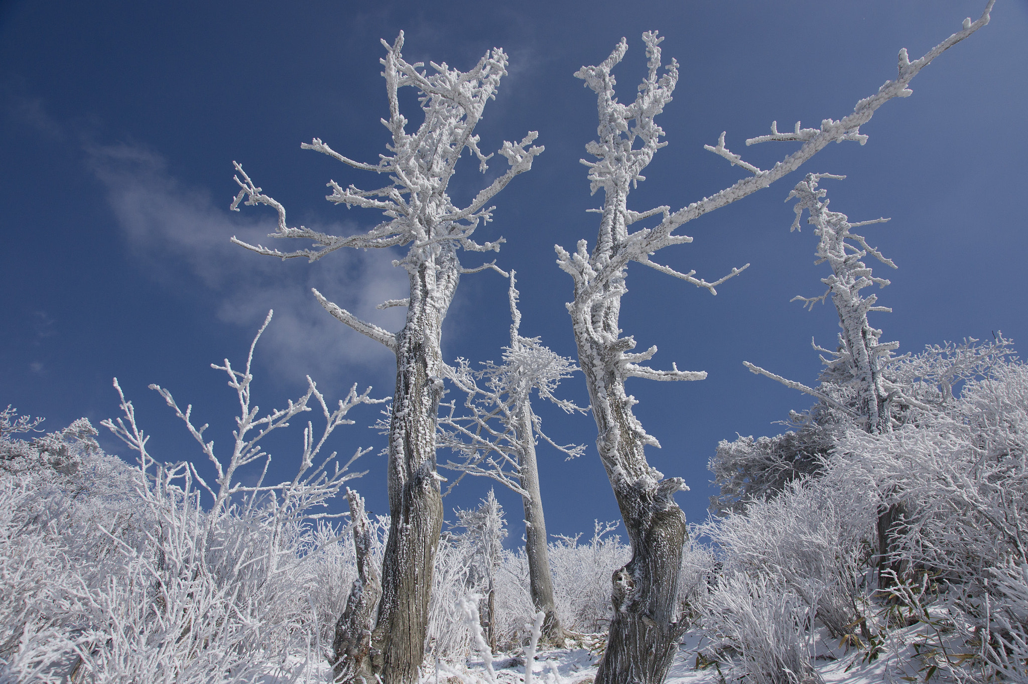 Sony Alpha DSLR-A550 sample photo. Snow and wind made landscape photography