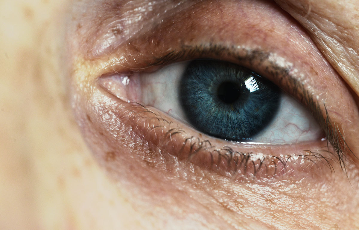 Sigma 150mm F2.8 EX DG Macro HSM sample photo. Oko photography