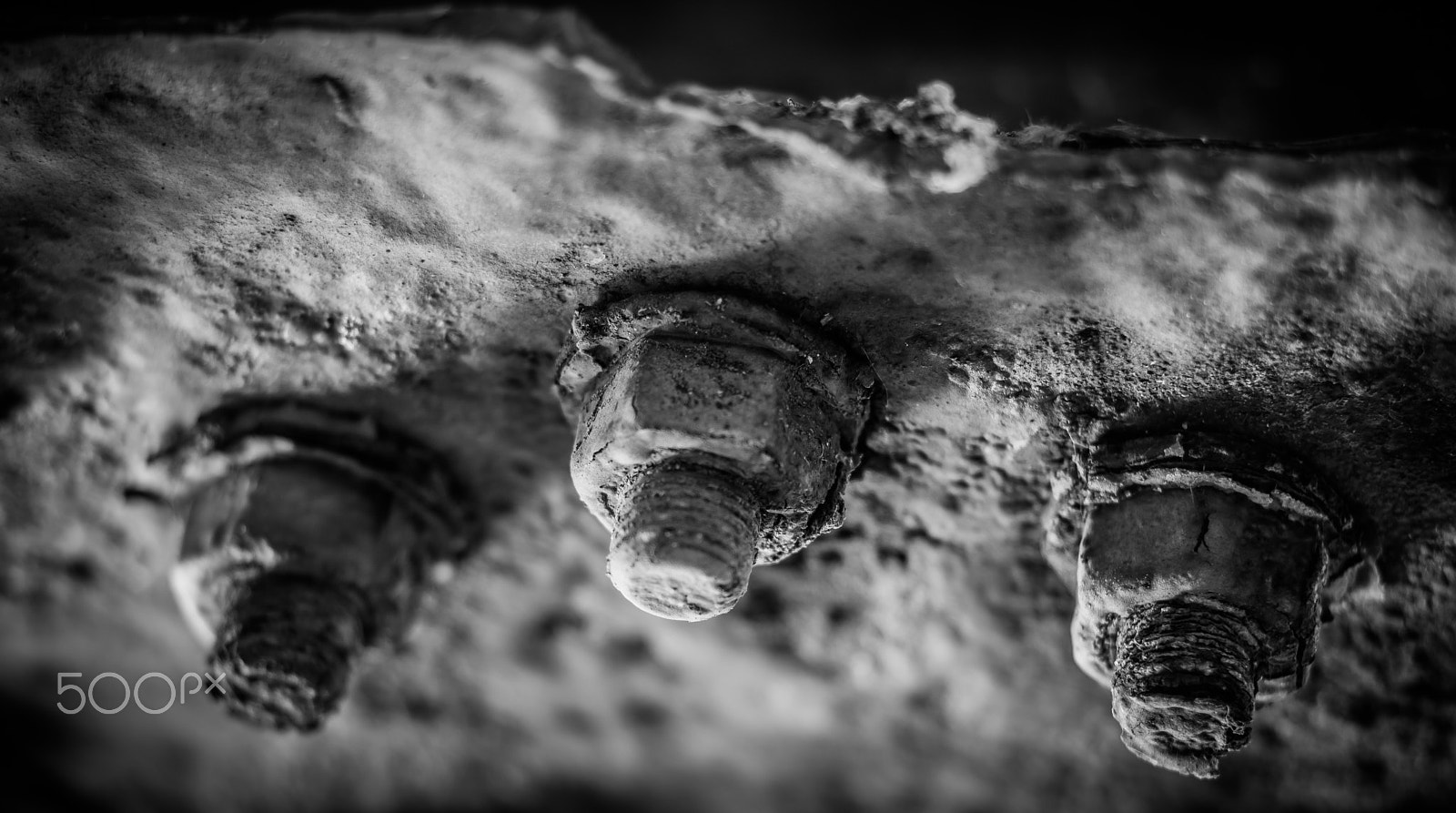 Canon EOS 5DS + Canon EF 85mm F1.8 USM sample photo. Bolts photography