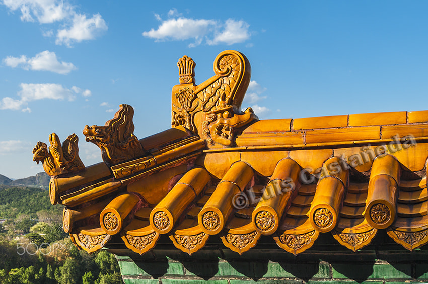 Pentax smc DA* 16-50mm F2.8 ED AL (IF) SDM sample photo. Roof decoration. the summer palace. beijing.china photography