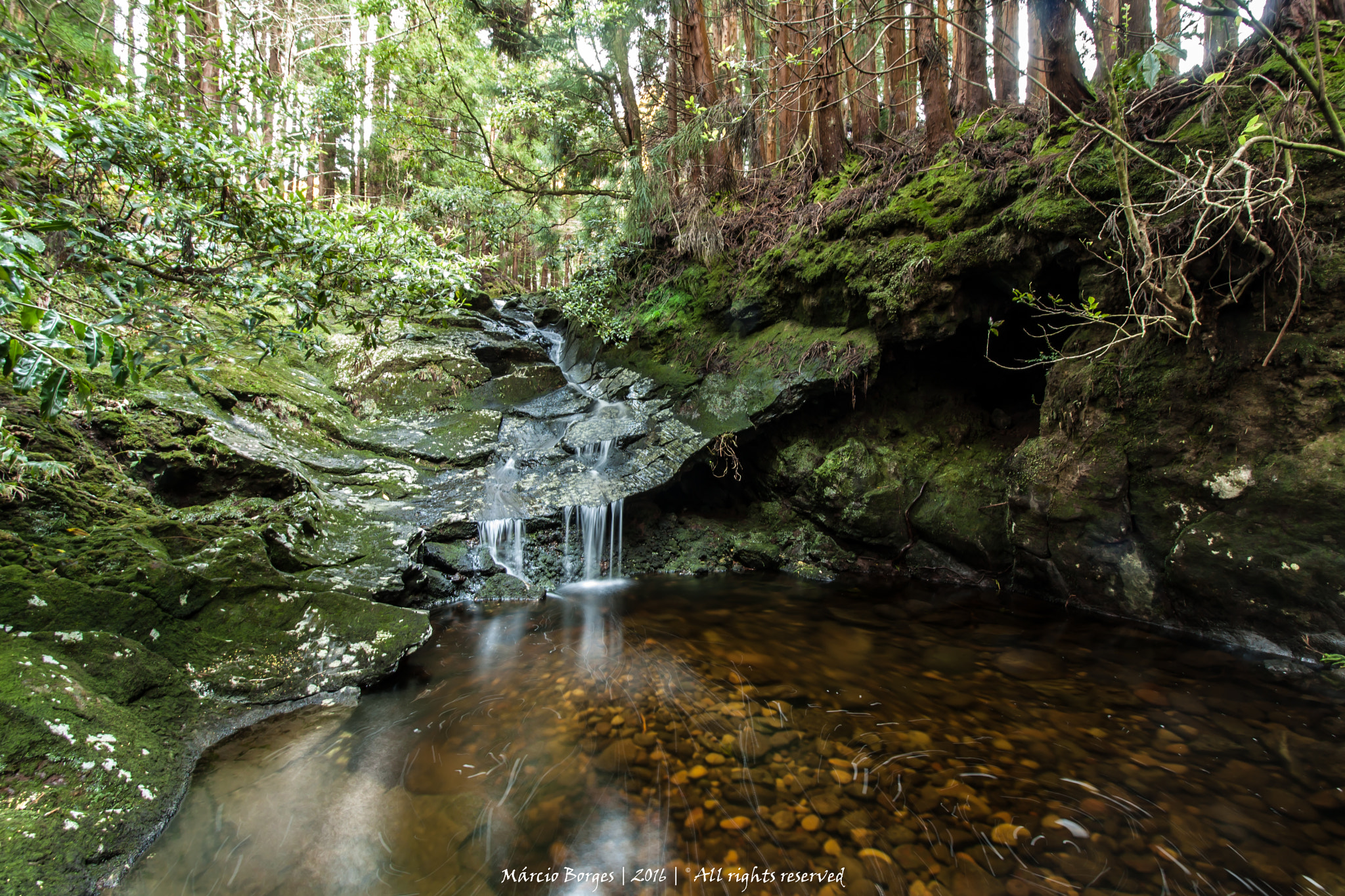 Canon EF-S 10-18mm F4.5–5.6 IS STM sample photo. Viveiros photography