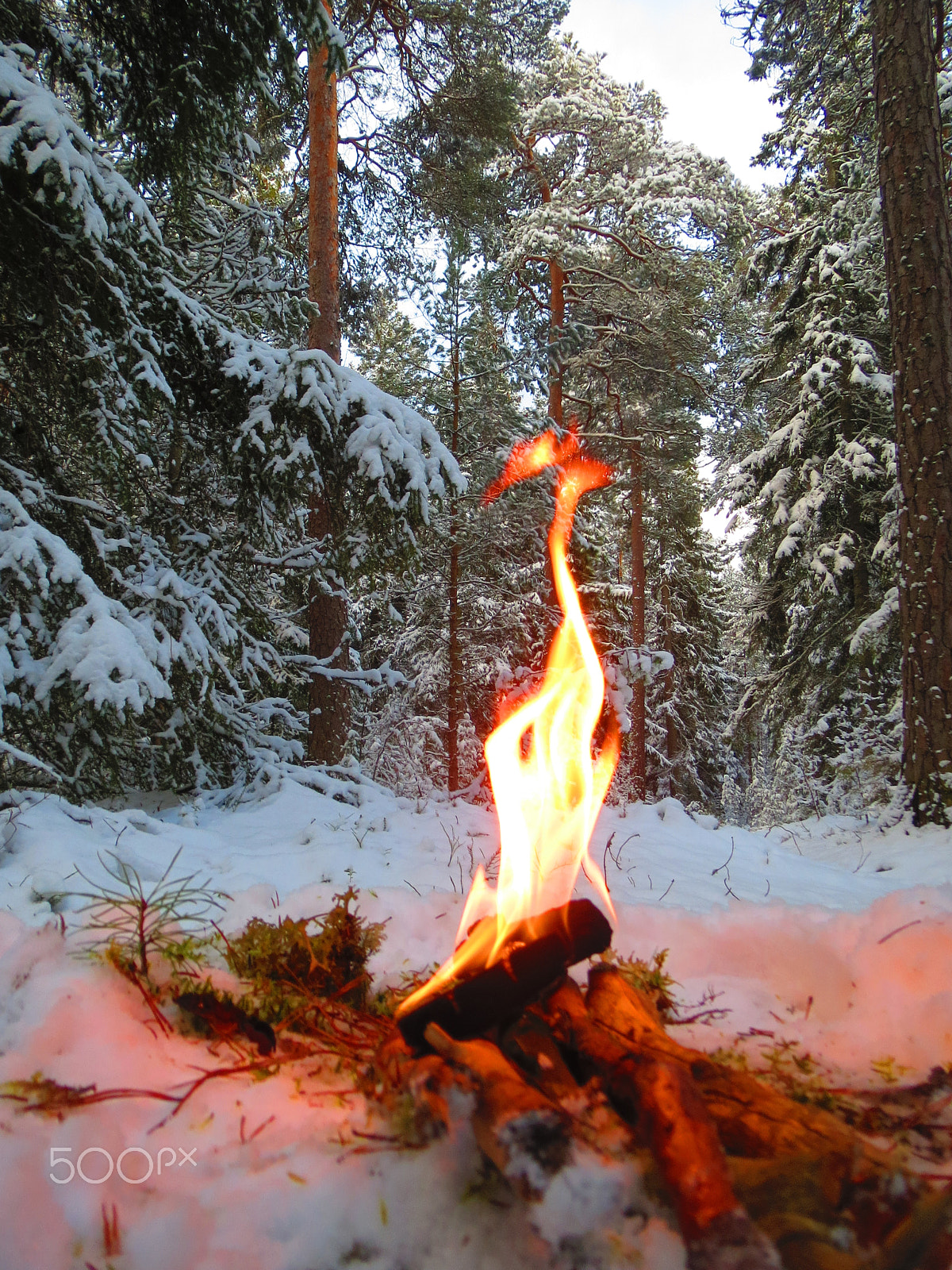 Canon PowerShot ELPH 520 HS (IXUS 500 HS / IXY 3) sample photo. Nature and fire photography