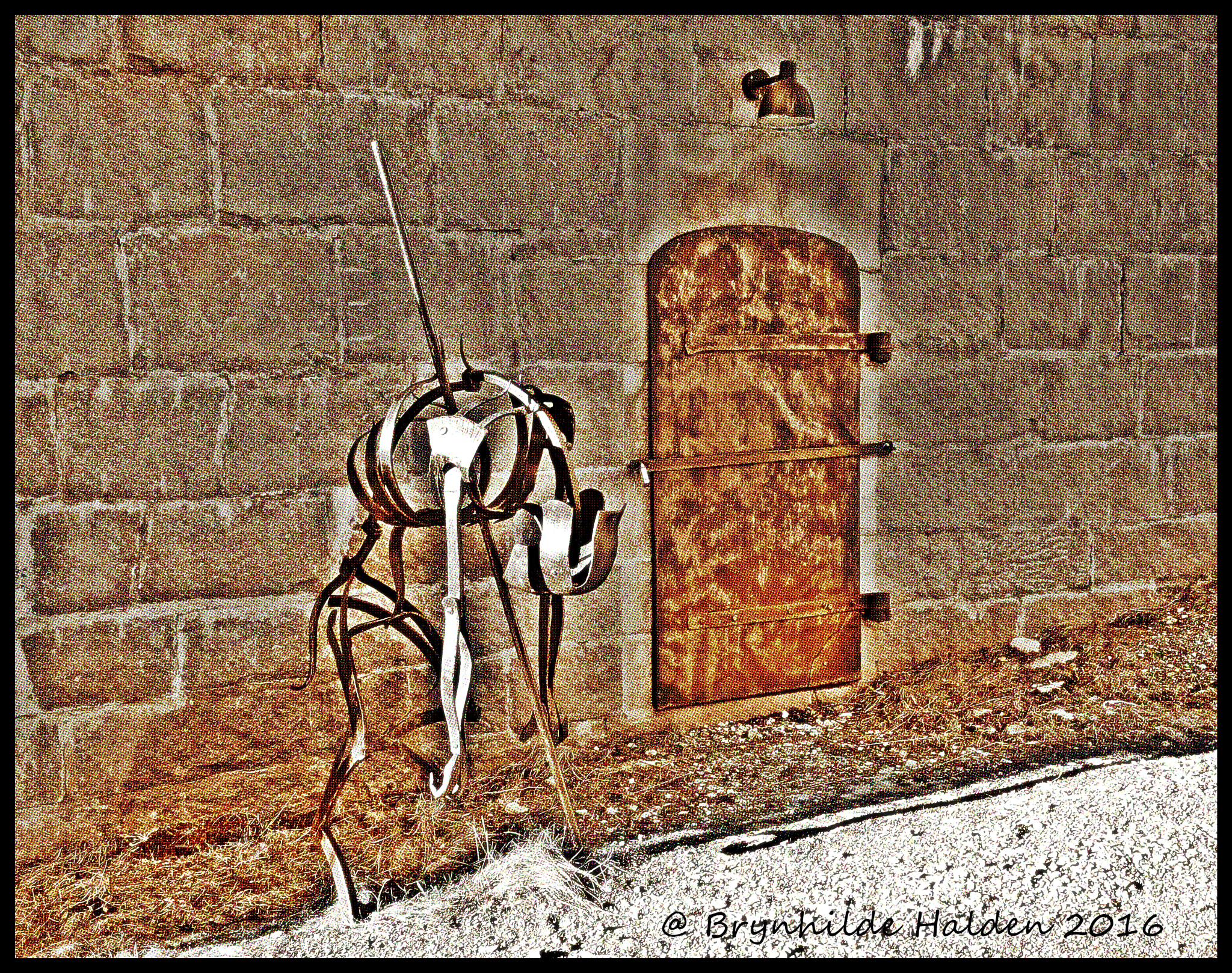 Sony DT 18-250mm F3.5-6.3 sample photo. "dead soldier" photography