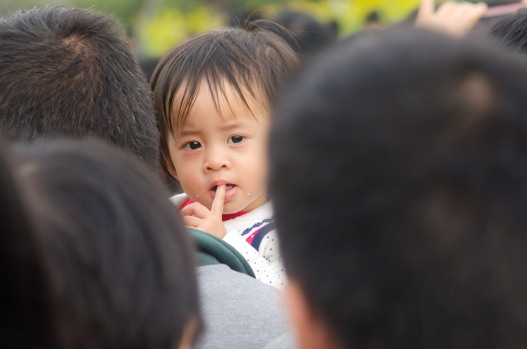 Nikon D7000 + AF Zoom-Nikkor 70-210mm f/4 sample photo