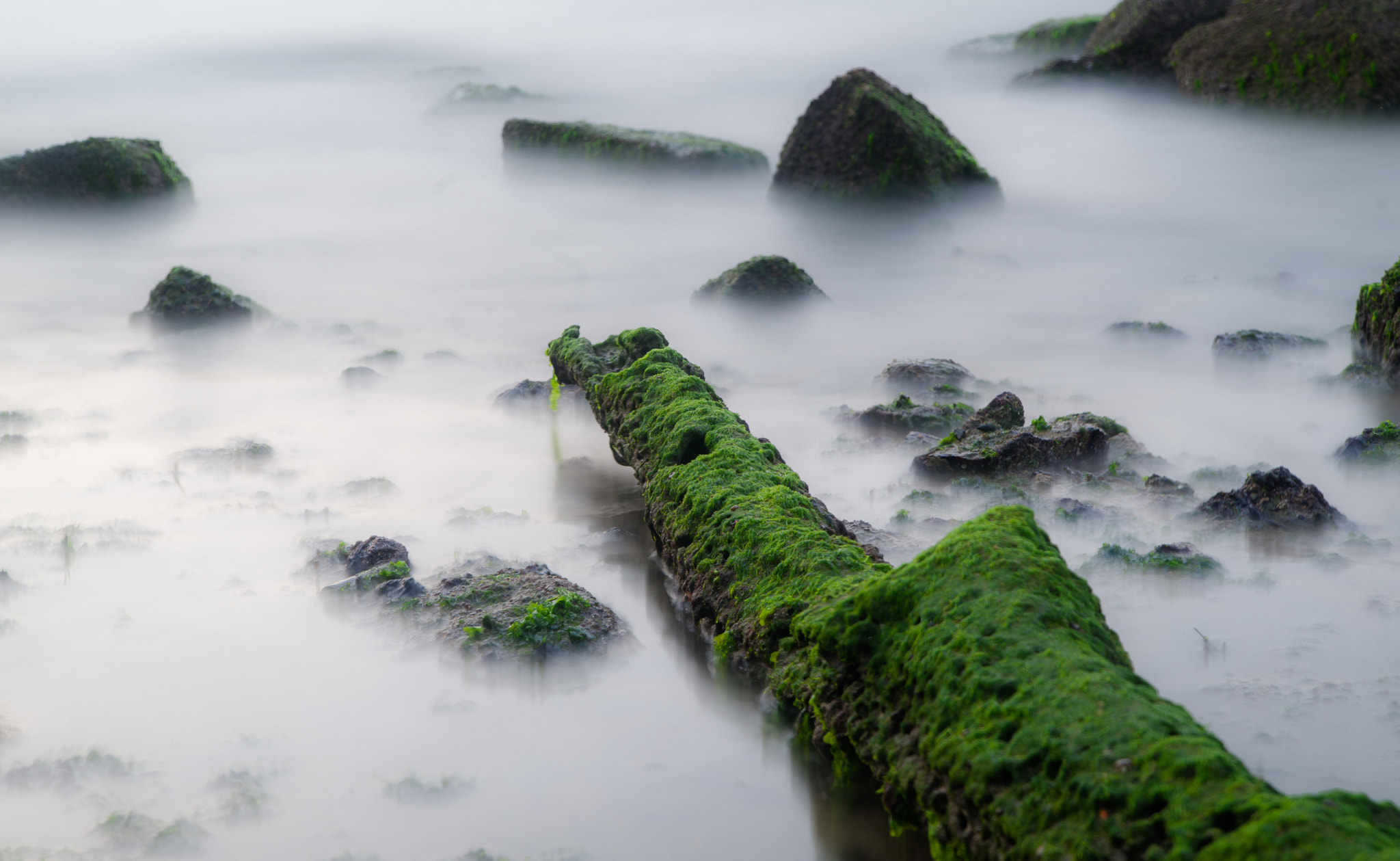 Tamron AF 28-75mm F2.8 XR Di LD Aspherical (IF) sample photo. Wu'hua photography