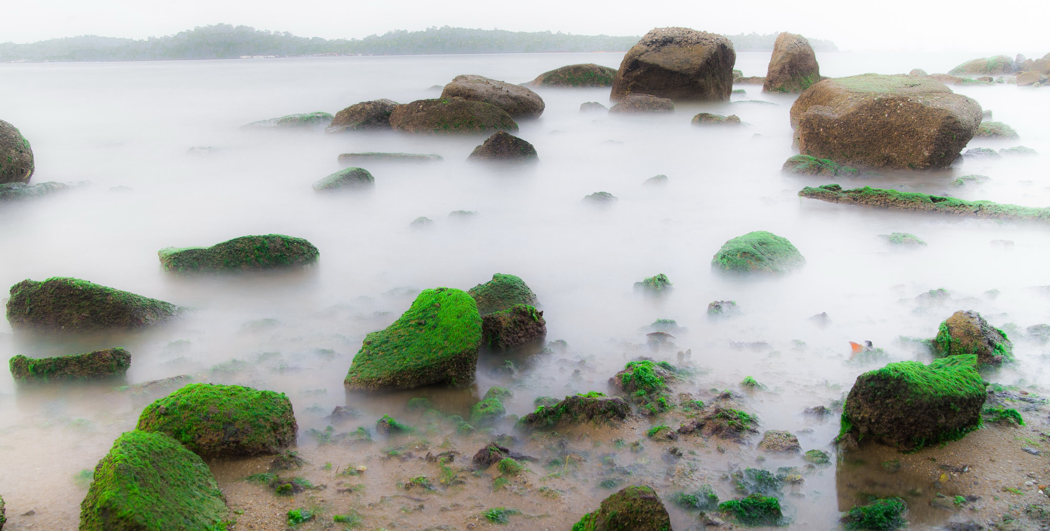 Sony a99 II + Sigma 17-70mm F2.8-4.5 (D) sample photo. Wu'hua photography
