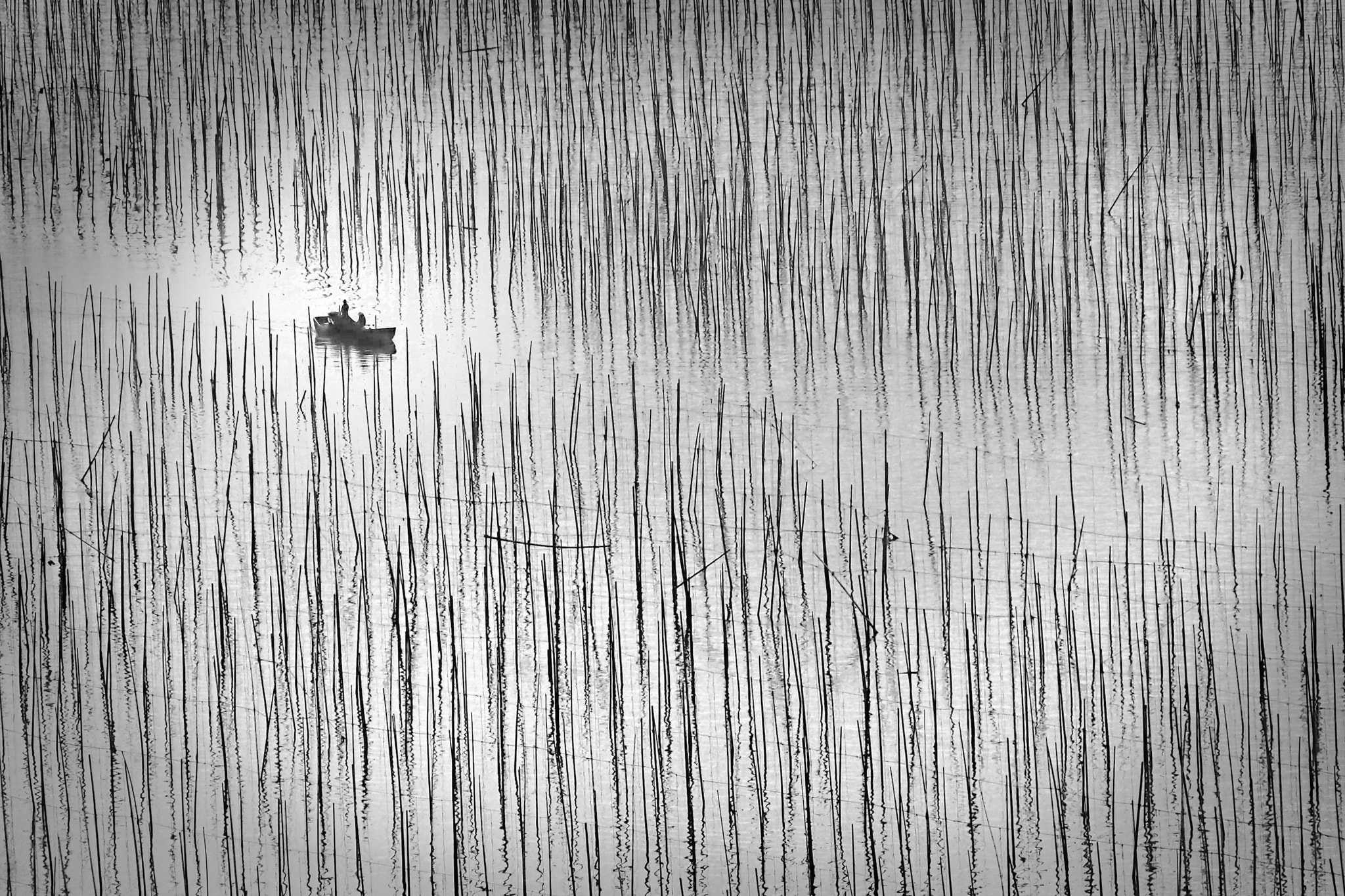 Olympus PEN E-PL3 sample photo. Sticks in the mud photography