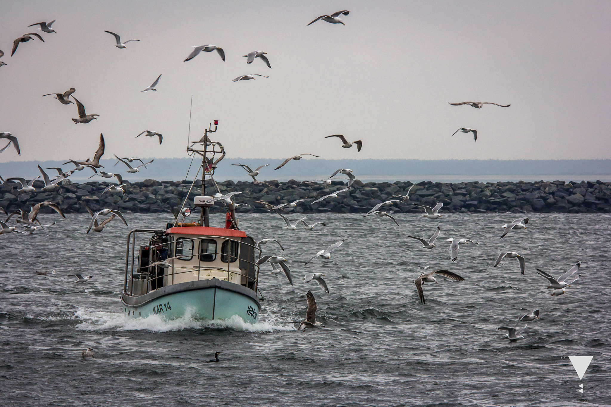 Sigma 70-200mm F2.8 EX DG OS HSM sample photo. Fresh fish photography