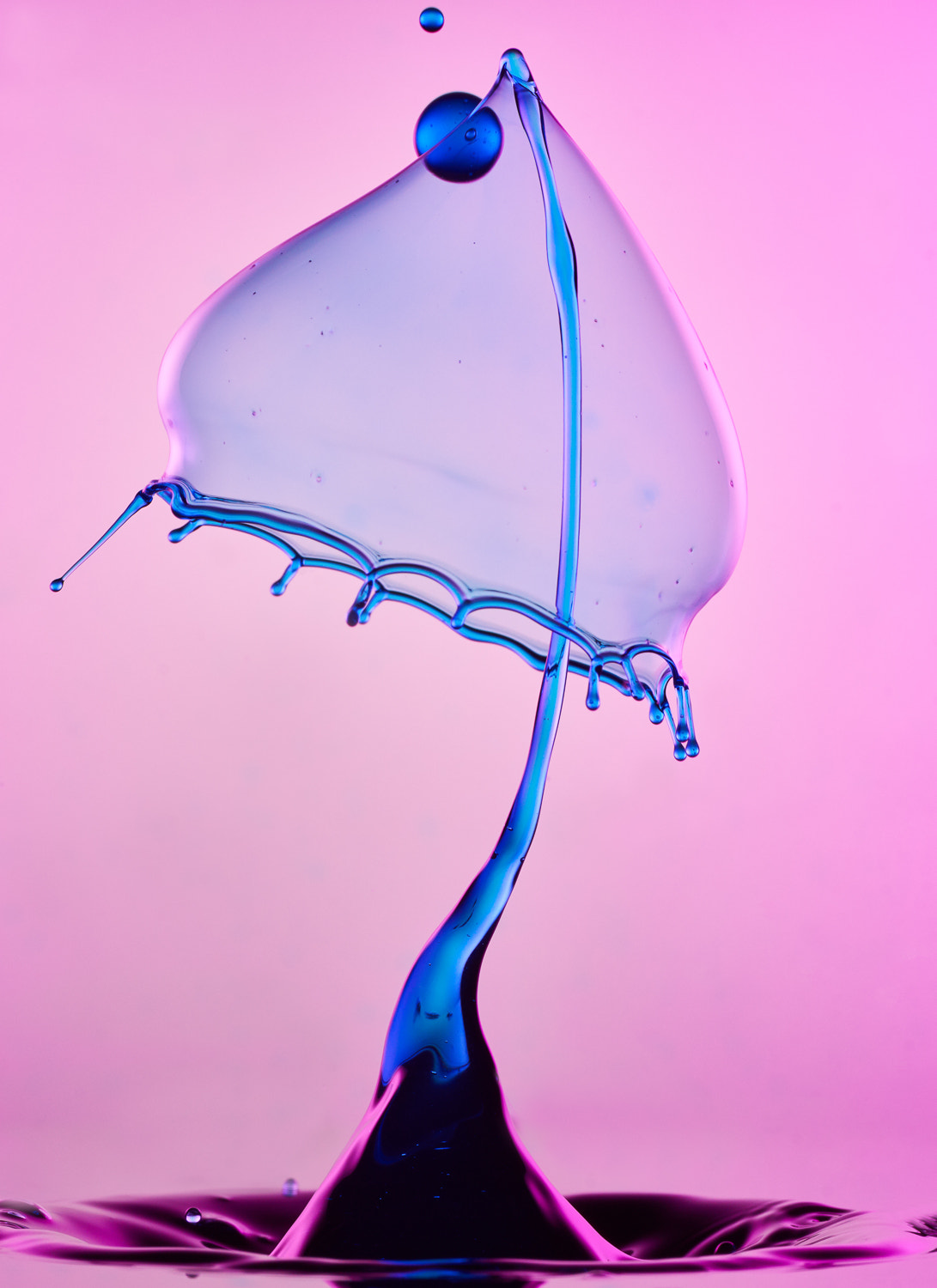 90mm F2.8 sample photo. Collide 54 photography