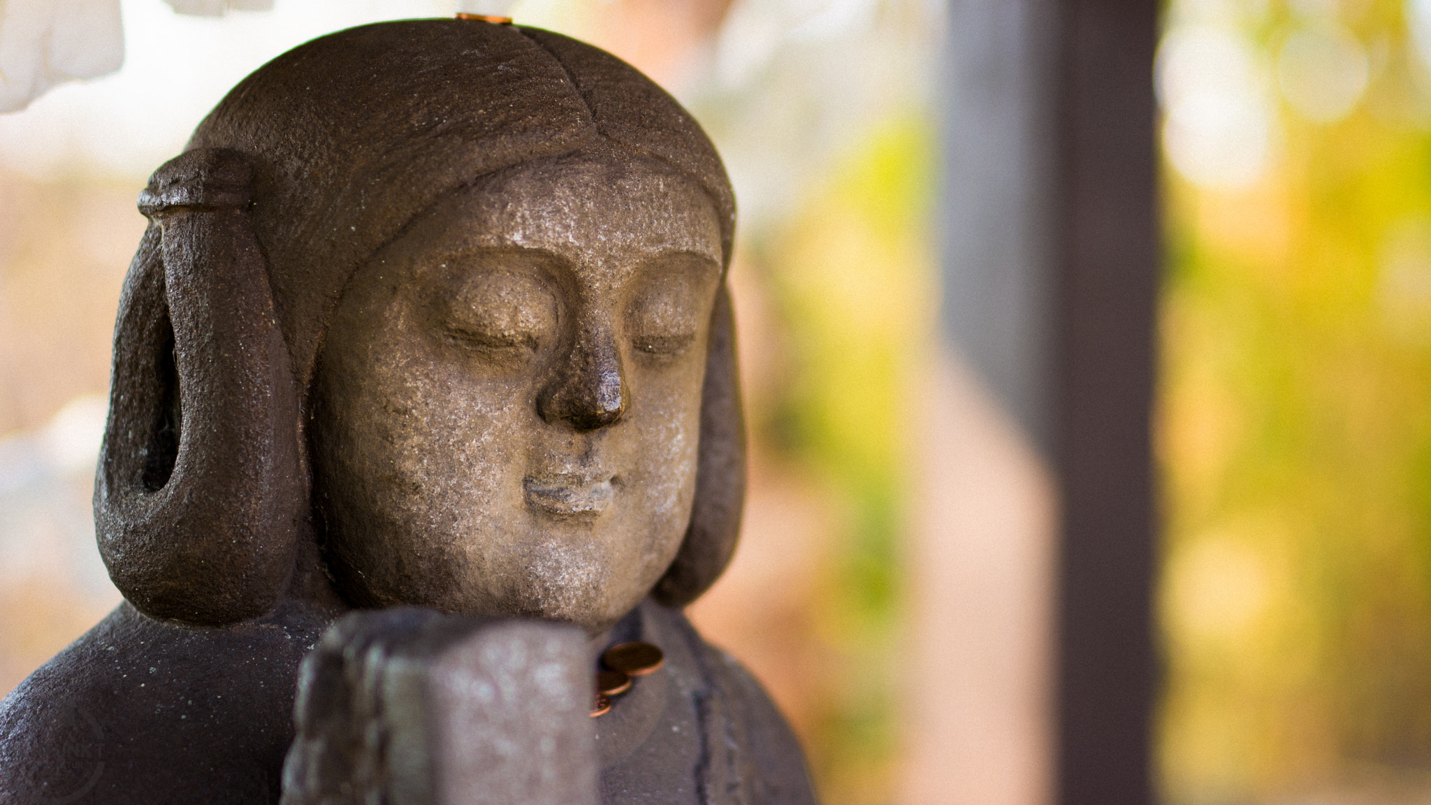 Nikon D5200 + Sigma 50mm F1.4 DG HSM Art sample photo. Just make a wish photography