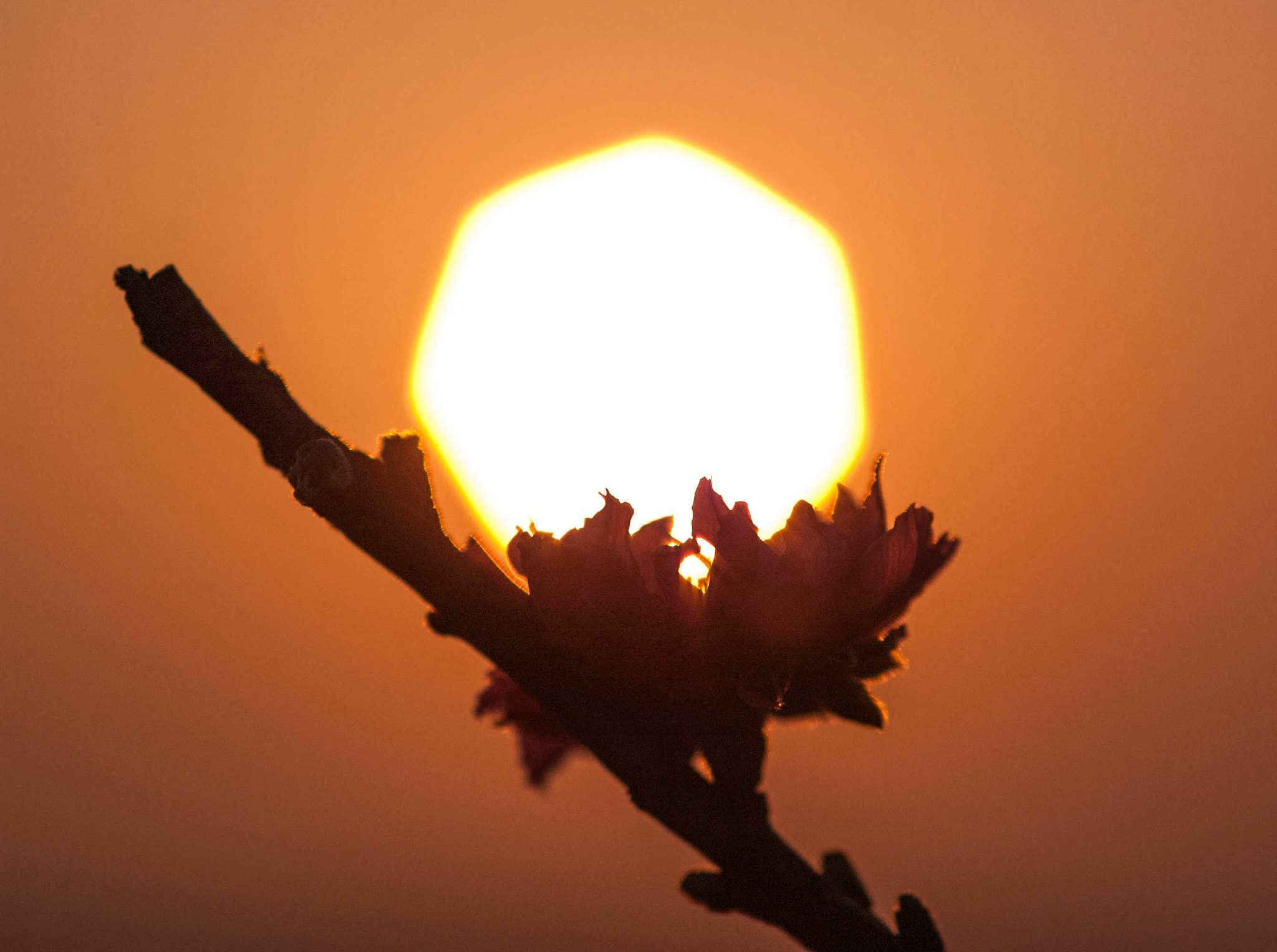 Nikon D70s sample photo. Holding the sun photography