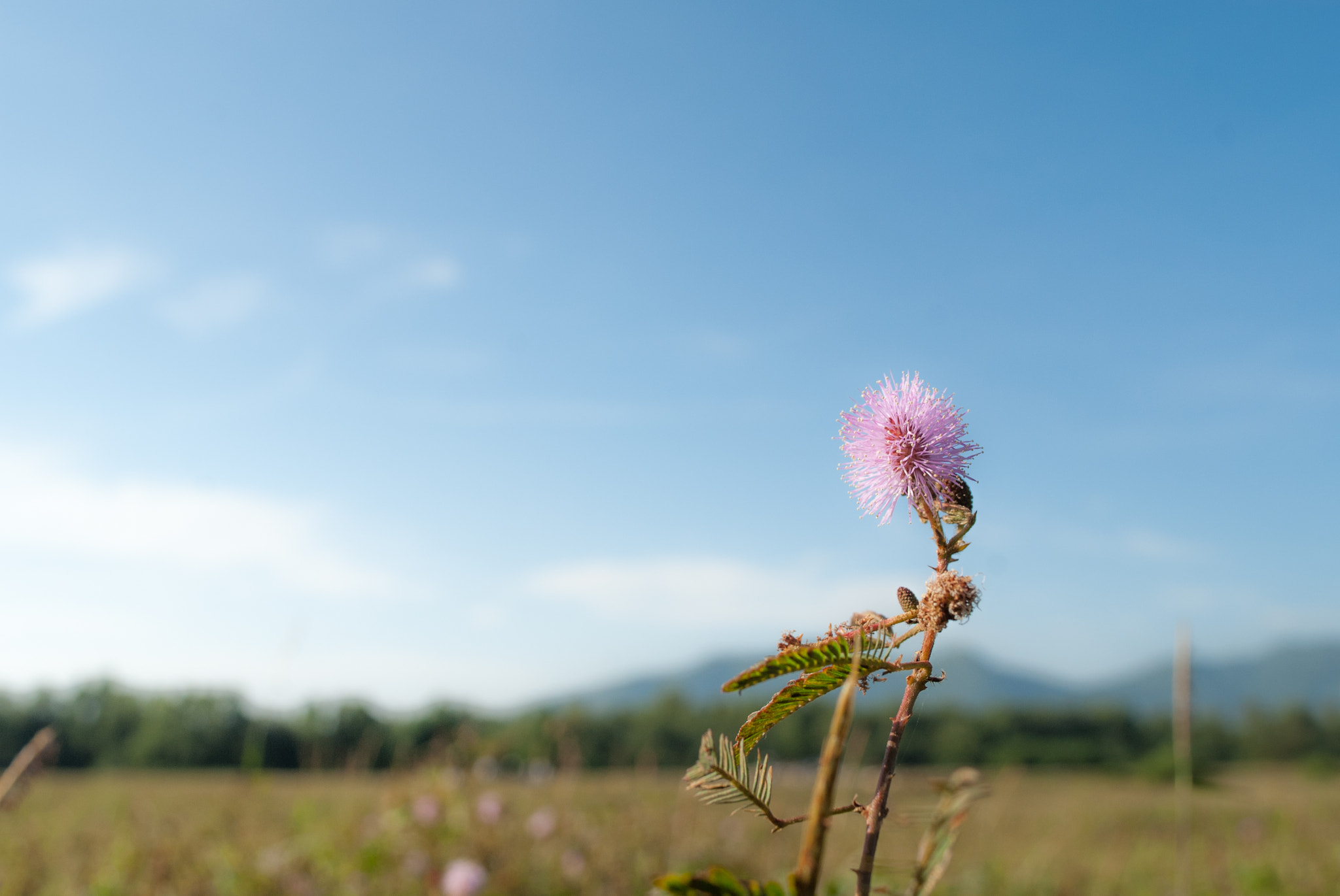 Nikon D200 sample photo. The wide sky photography