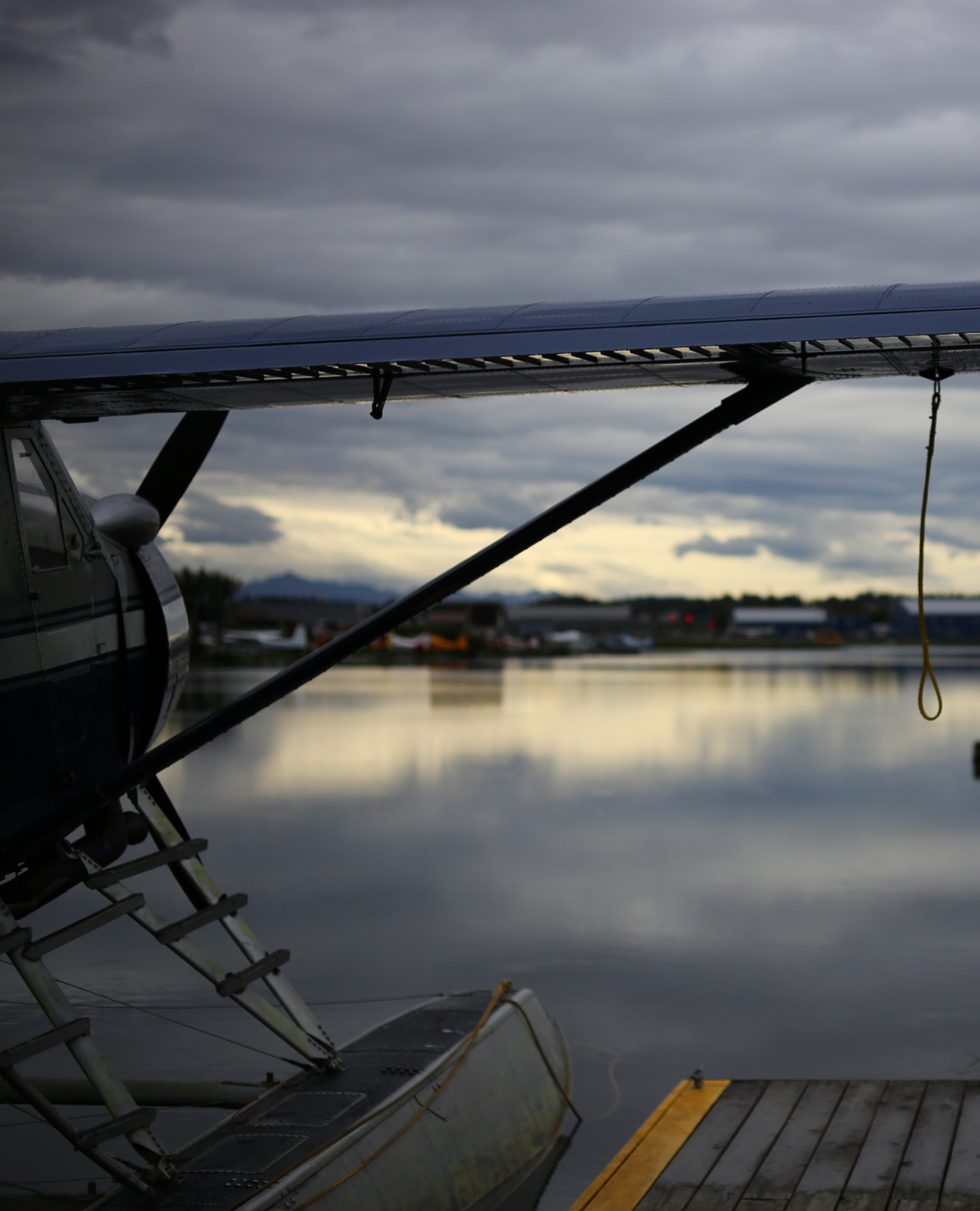 ZEISS Makro-Planar T* 50mm F2 sample photo. Plane photography