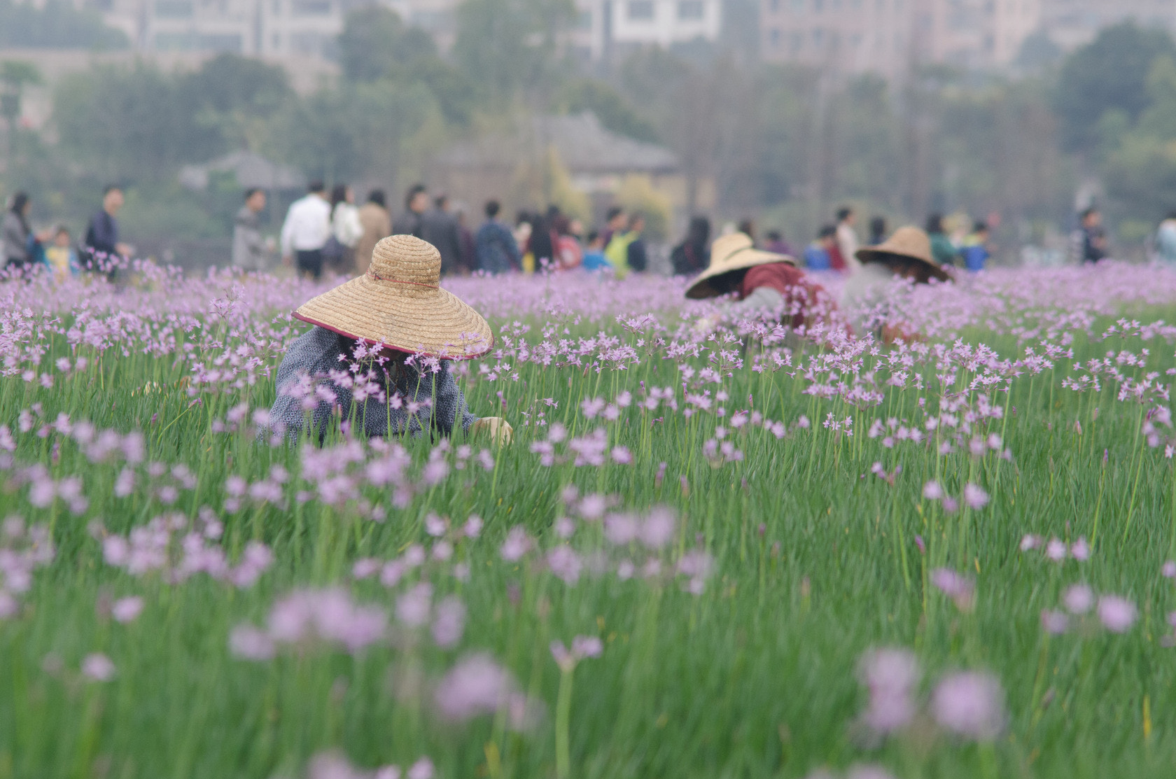 Nikon D7000 + AF Zoom-Nikkor 70-210mm f/4 sample photo.  别人在游玩，他们在工作...  photography