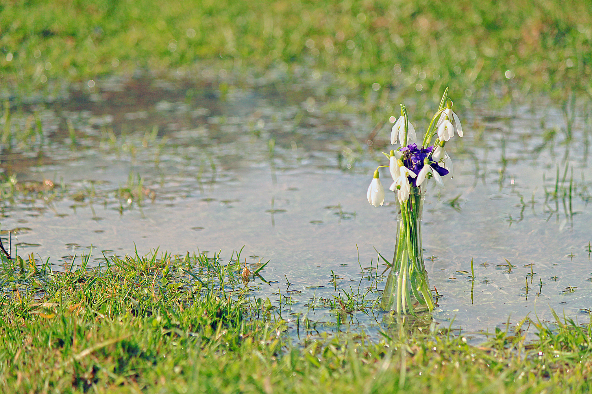 Canon EOS 500D (EOS Rebel T1i / EOS Kiss X3) sample photo. Longing for spring photography