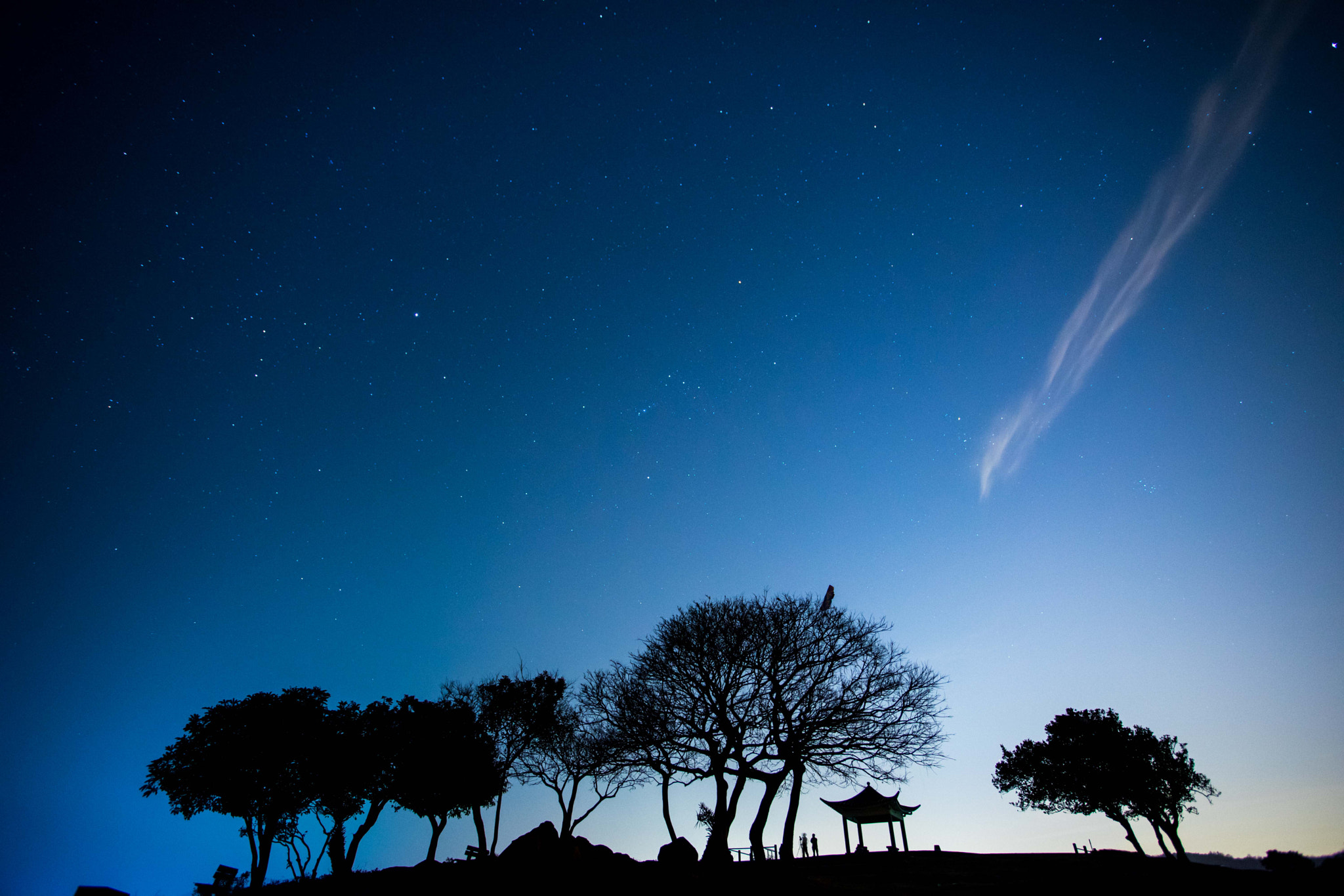 Minolta AF 28-85mm F3.5-4.5 New sample photo. Cosmos above father and son photography