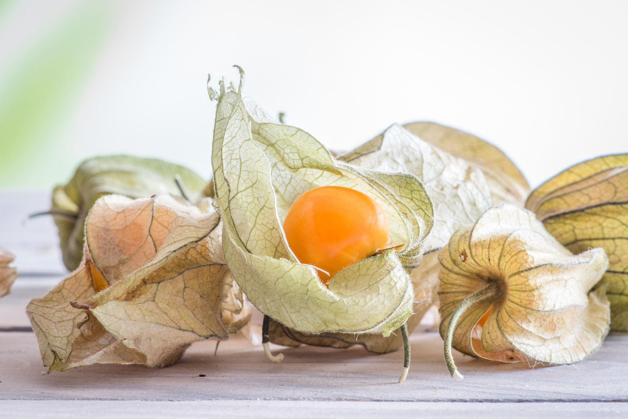 Sony a7R + Minolta AF 100mm F2.8 Macro [New] sample photo. Physalis peruviana fruit on a table photography