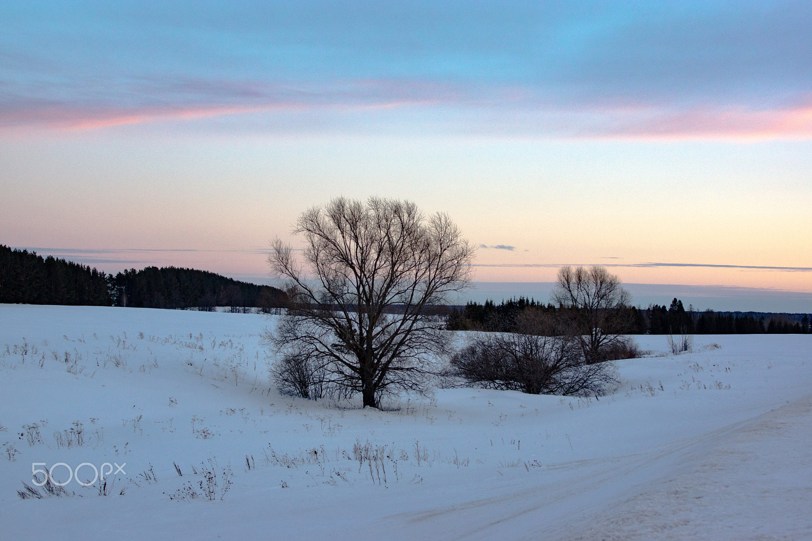 Sony SLT-A77 + Minolta AF 28-135mm F4-4.5 sample photo. Beautiful evening photography