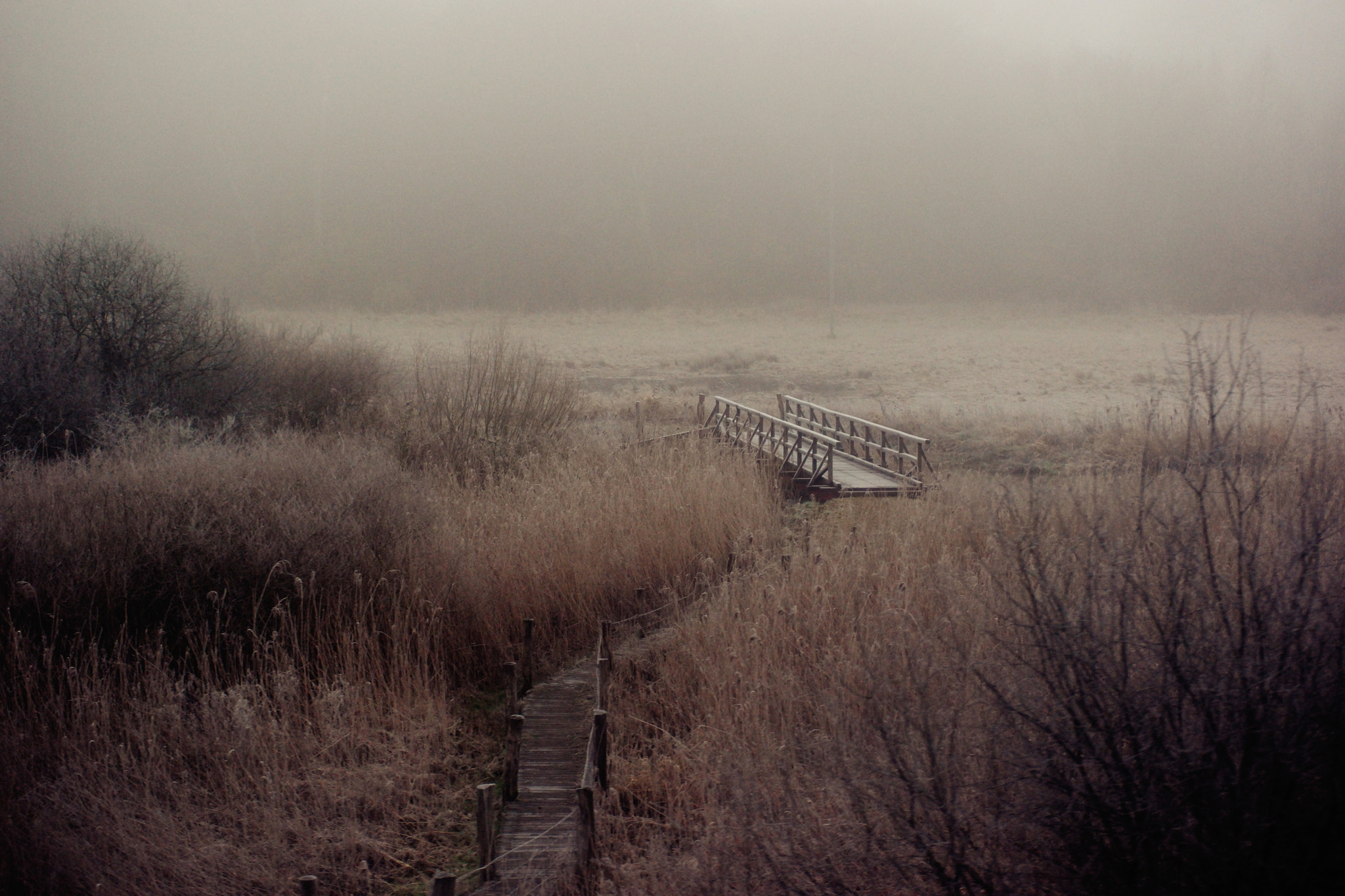 Samsung NX 45mm F1.8 sample photo. The bridge photography