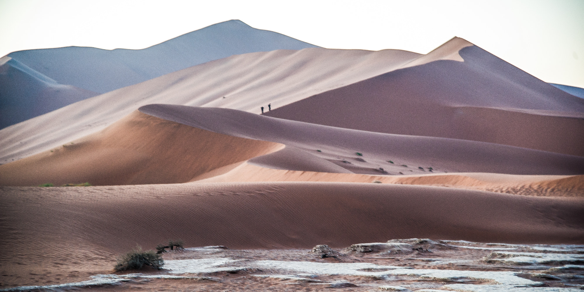 Nikon D3S sample photo. Contrastes de dunes photography