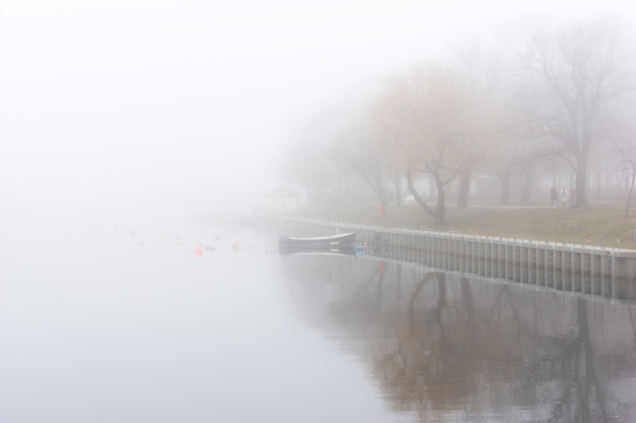 Pentax smc DA* 60-250mm F4.0 ED (IF) SDM sample photo. Foggy banking photography