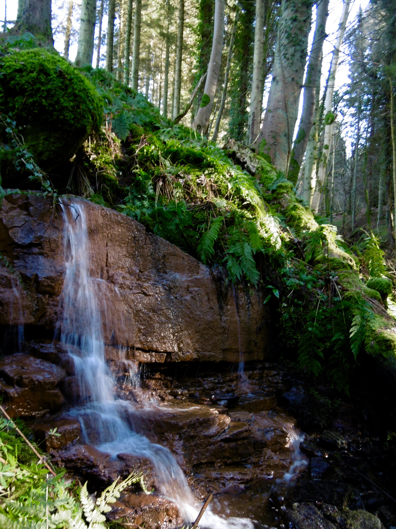 Panasonic DMC-SZ8 sample photo. Lady hunter's waterfall photography