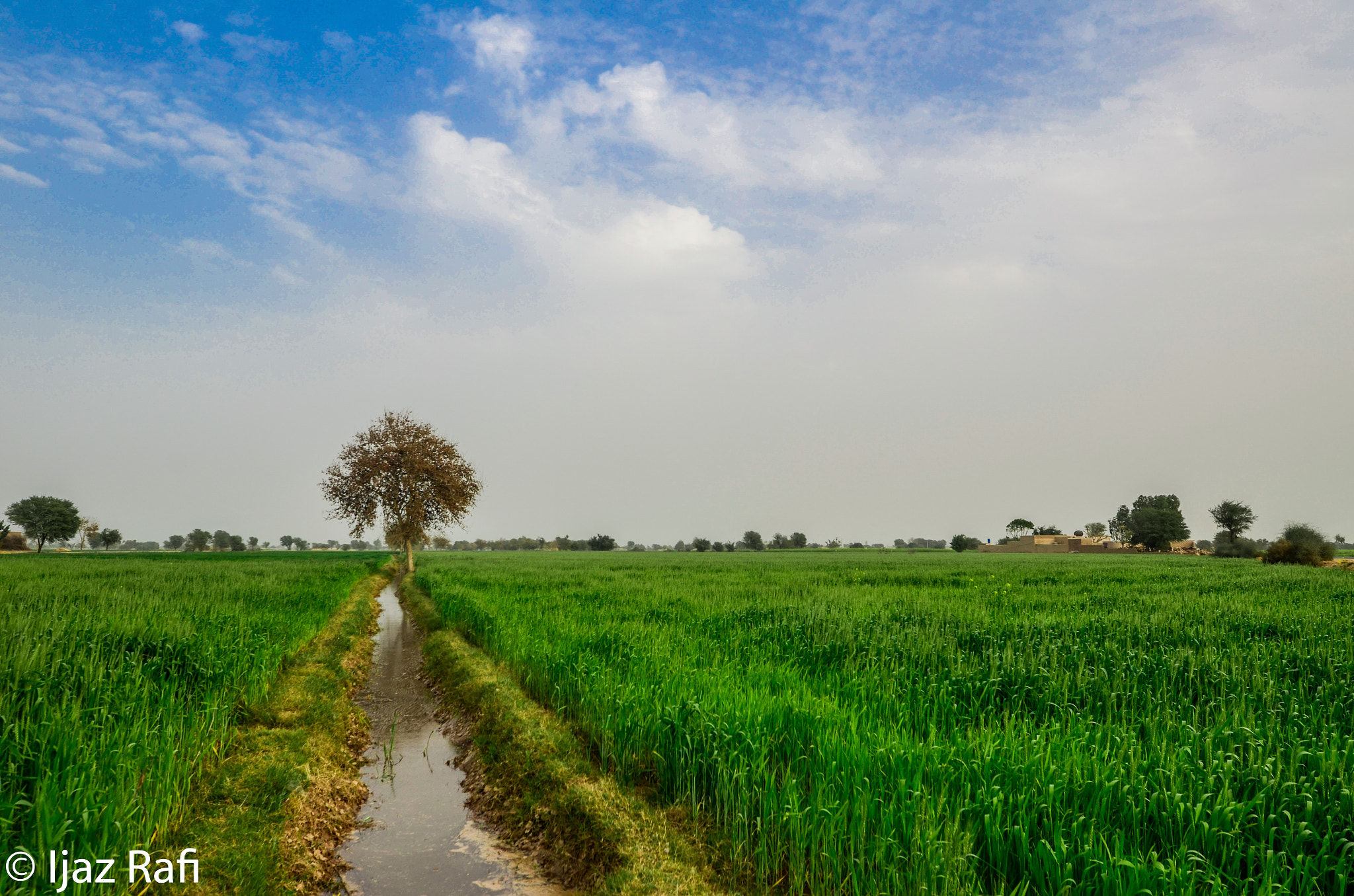 Nikon AF-S Nikkor 16-35mm F4G ED VR sample photo. Green lands ahmed pur sharqia photography