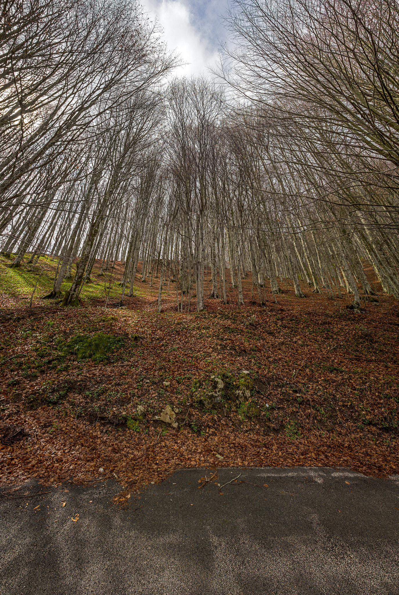 Sigma 17-35mm F2.8-4 EX DG  Aspherical HSM sample photo. Echoes photography