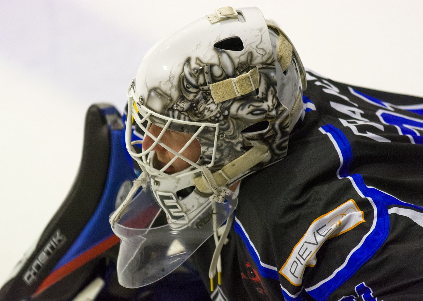AF-S Zoom-Nikkor 80-200mm f/2.8D IF-ED sample photo. Netminder photography