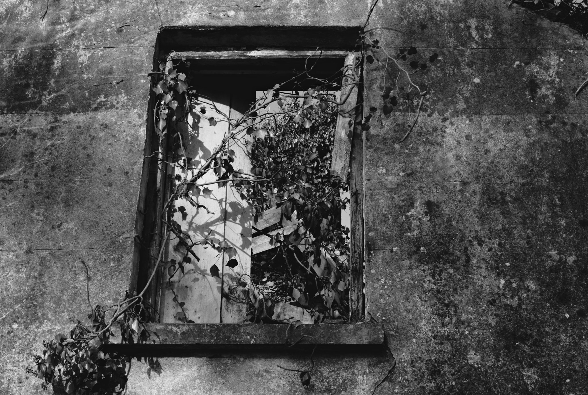 18.00 - 55.00 mm f/3.5 - 5.6 sample photo. Window photography