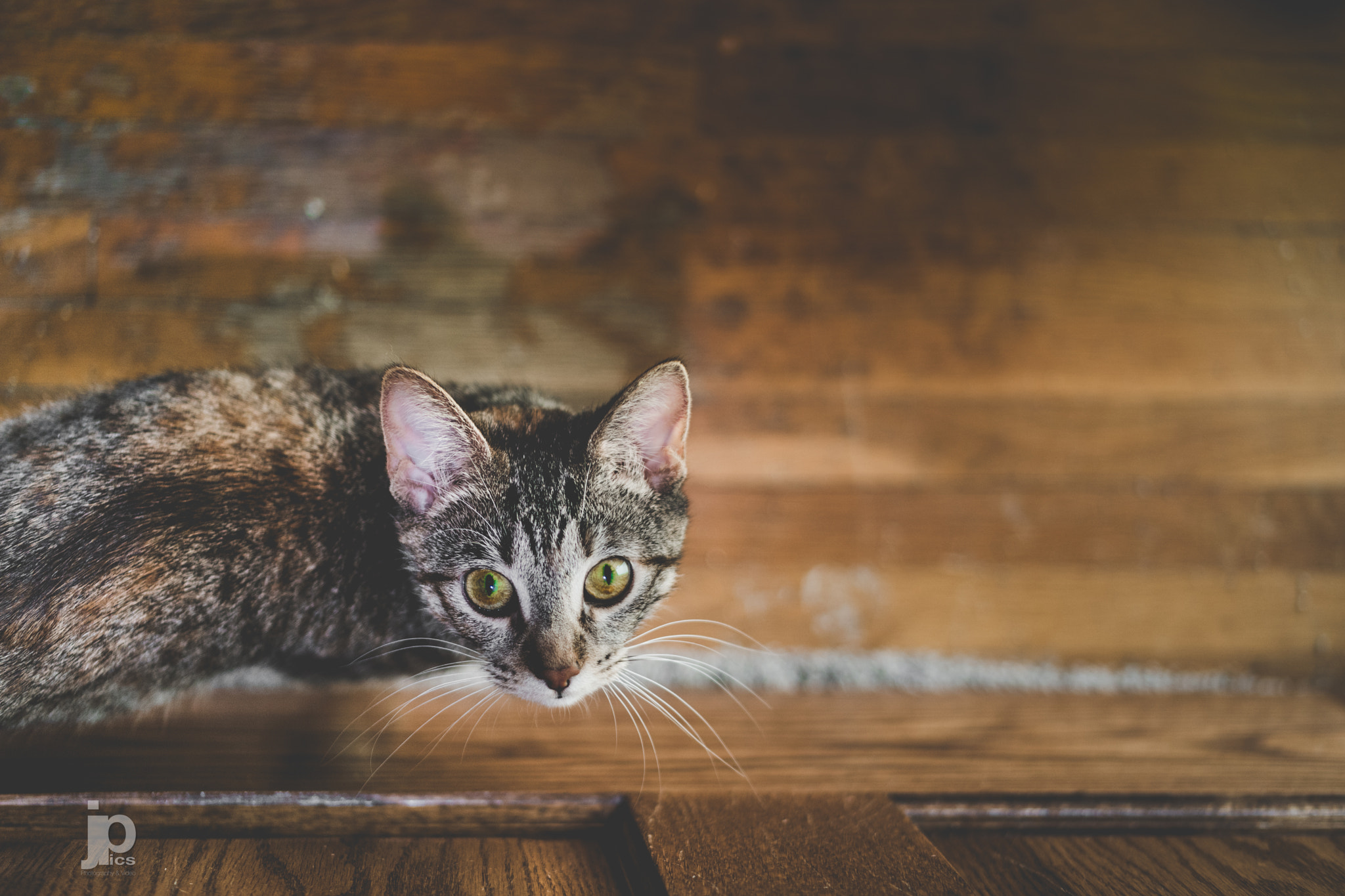 Samsung NX 45mm F1.8 sample photo. Sam_7299.jpg photography