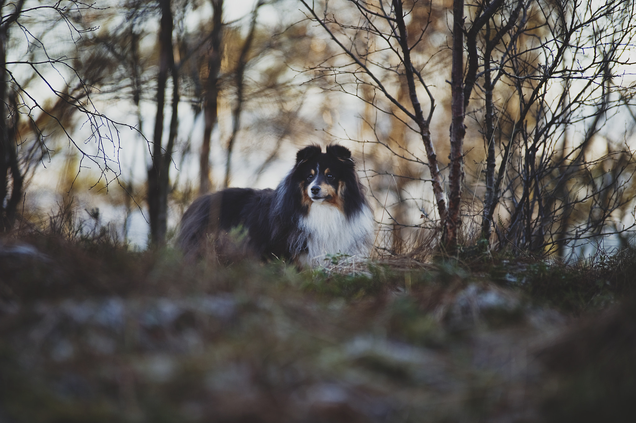 Nikon D3S sample photo. Wandering on paths unexplored. photography