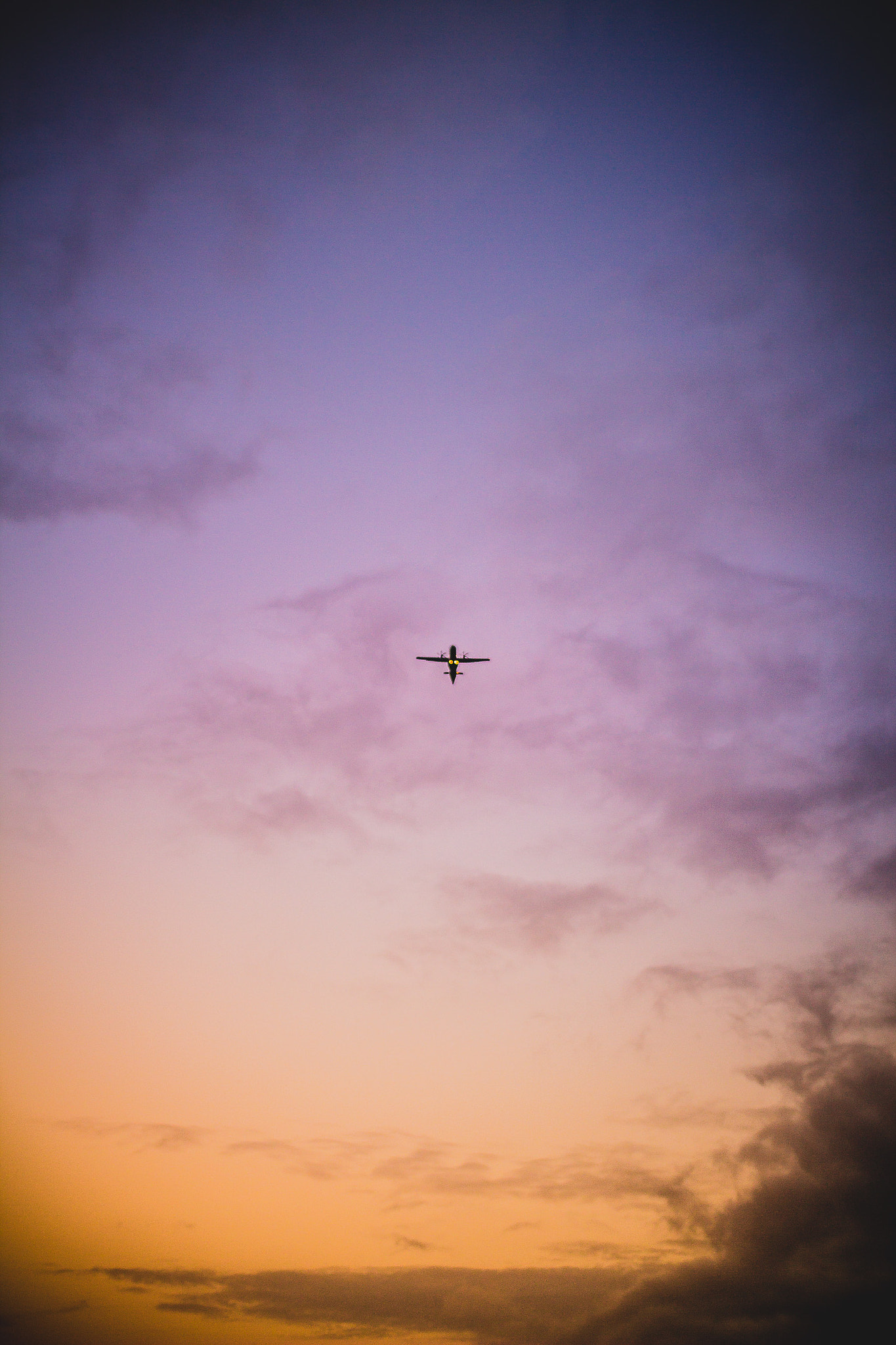 Canon EOS 60D + Sigma 30mm f/1.4 DC HSM sample photo. Sunset flight  photography