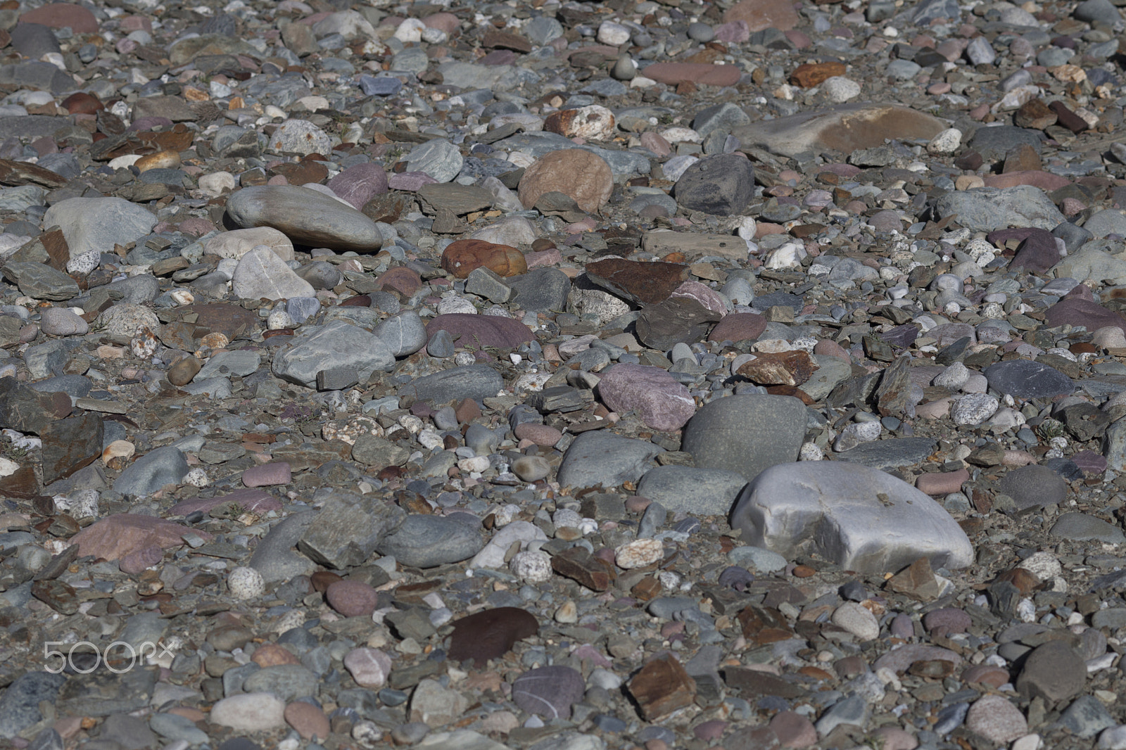 Canon TS-E 90mm F2.8 Tilt-Shift sample photo. Riverbed and road to spiti valley photography