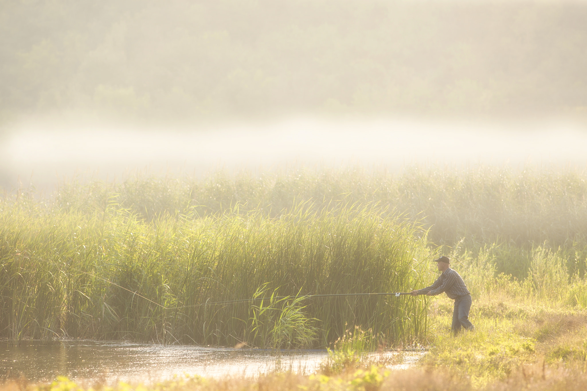 Canon EOS 5D + Canon EF 300mm F4L IS USM sample photo. Fisherman catches a fish in the pond. photography