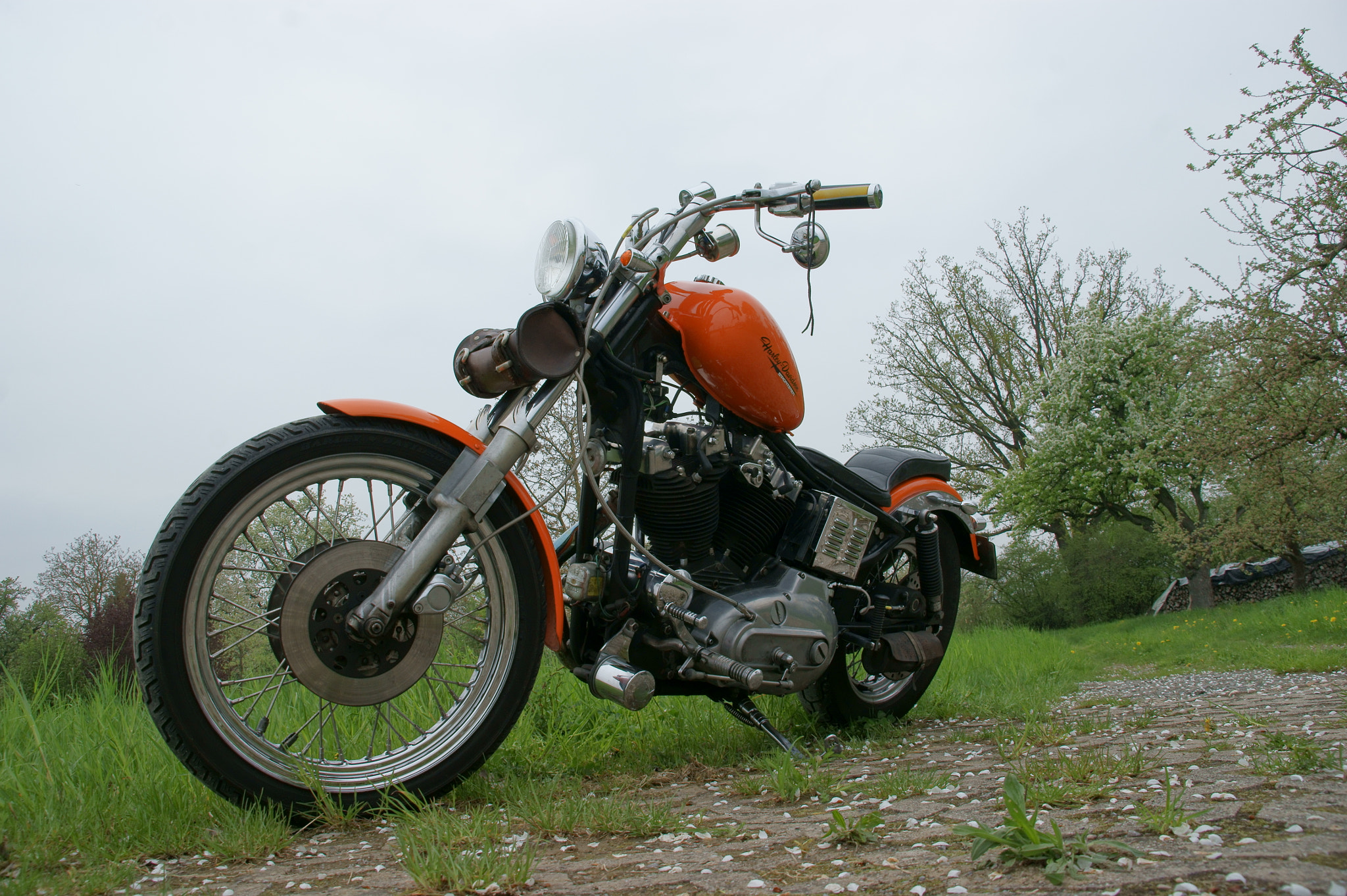 Sony Alpha DSLR-A350 + Sigma 18-200mm F3.5-6.3 DC sample photo. Red harley davidson photography