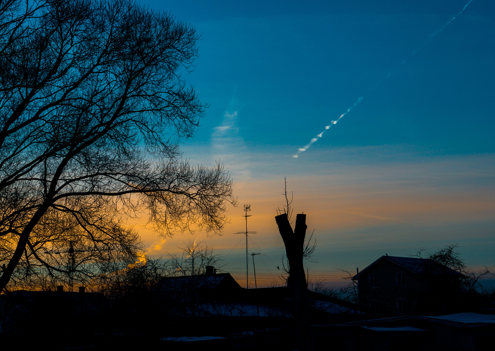 Sony Alpha NEX-3N + E 50mm F1.8 OSS sample photo. Angry birds photography