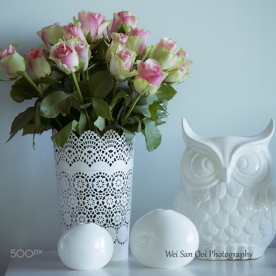 Panasonic Lumix DMC-GX7 sample photo. Roses arrangement photography