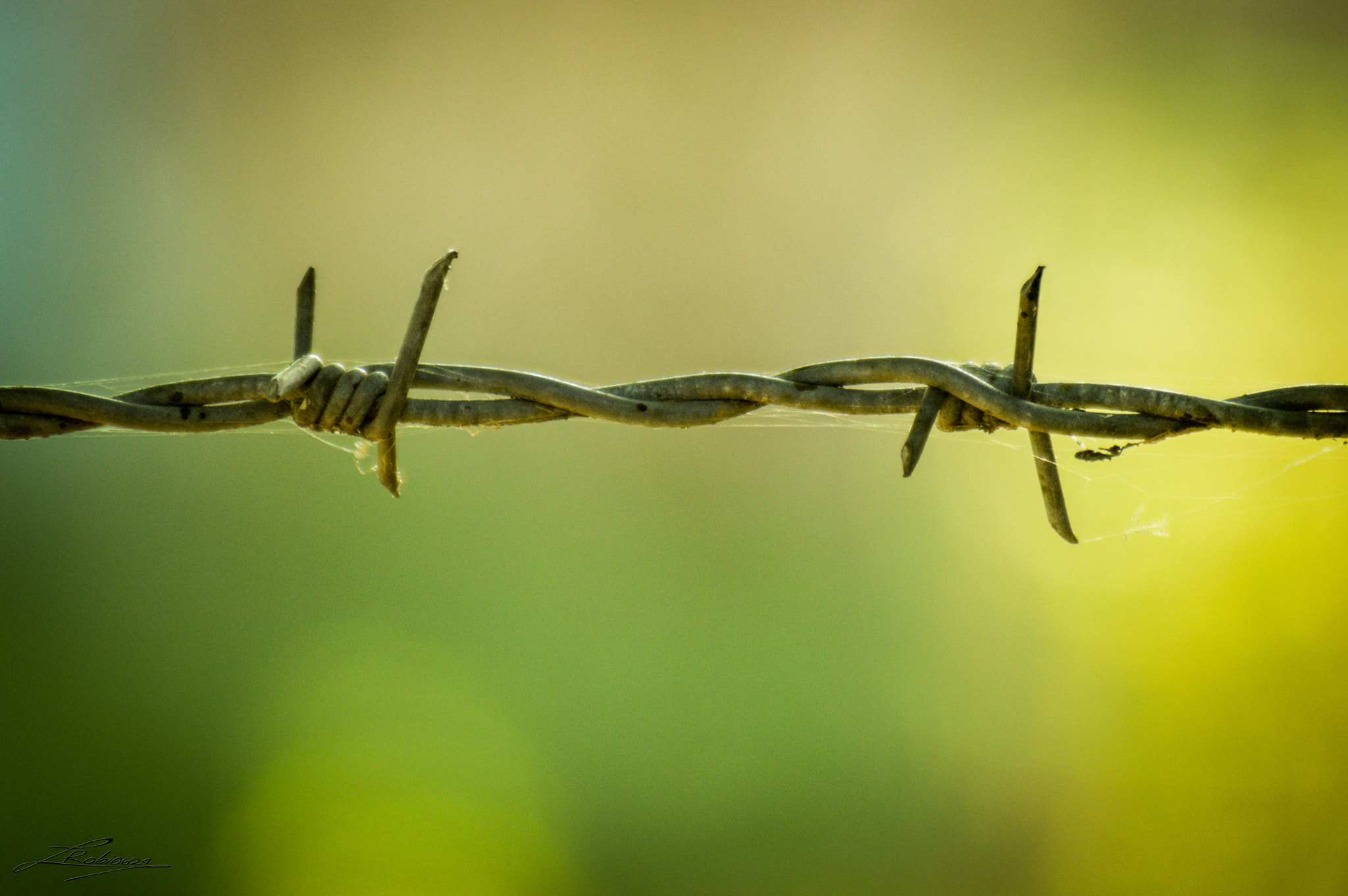 Nikon D3200 + Sigma 70-210mm F4-5.6 UC-II sample photo. Minimal photography