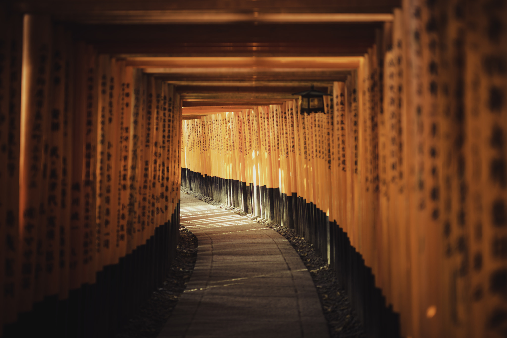 Nikon D600 + Sigma 50mm F1.4 DG HSM Art sample photo. On the way to fushimi inari-taisha photography