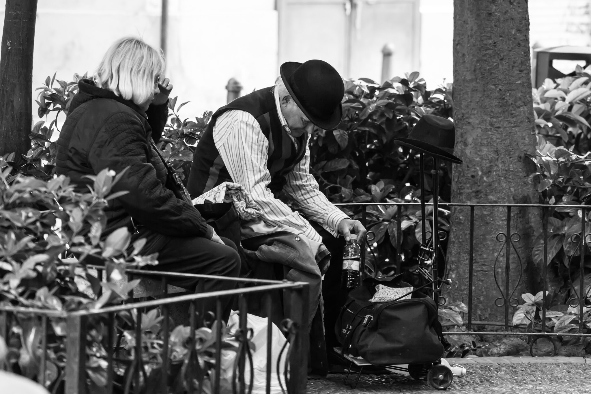 Sigma 150-500mm F5-6.3 DG OS HSM sample photo. Not without my bowler hat photography