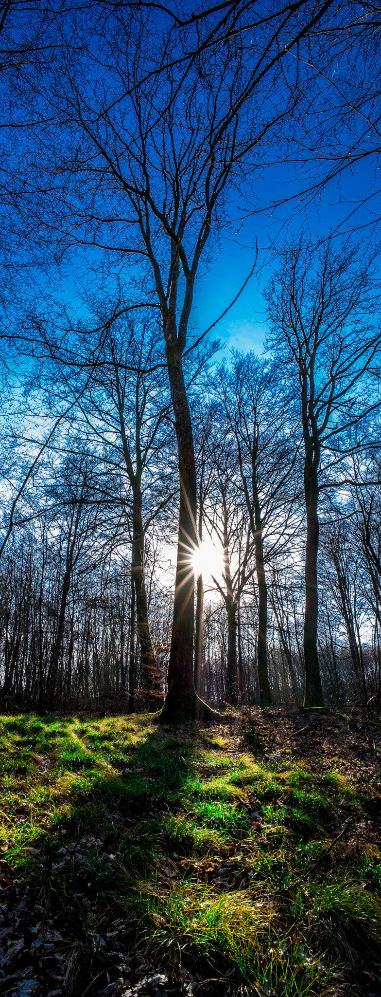Leica Super-Elmar-M 18mm F3.8 ASPH sample photo. Le crépuscule des fées.jpg photography