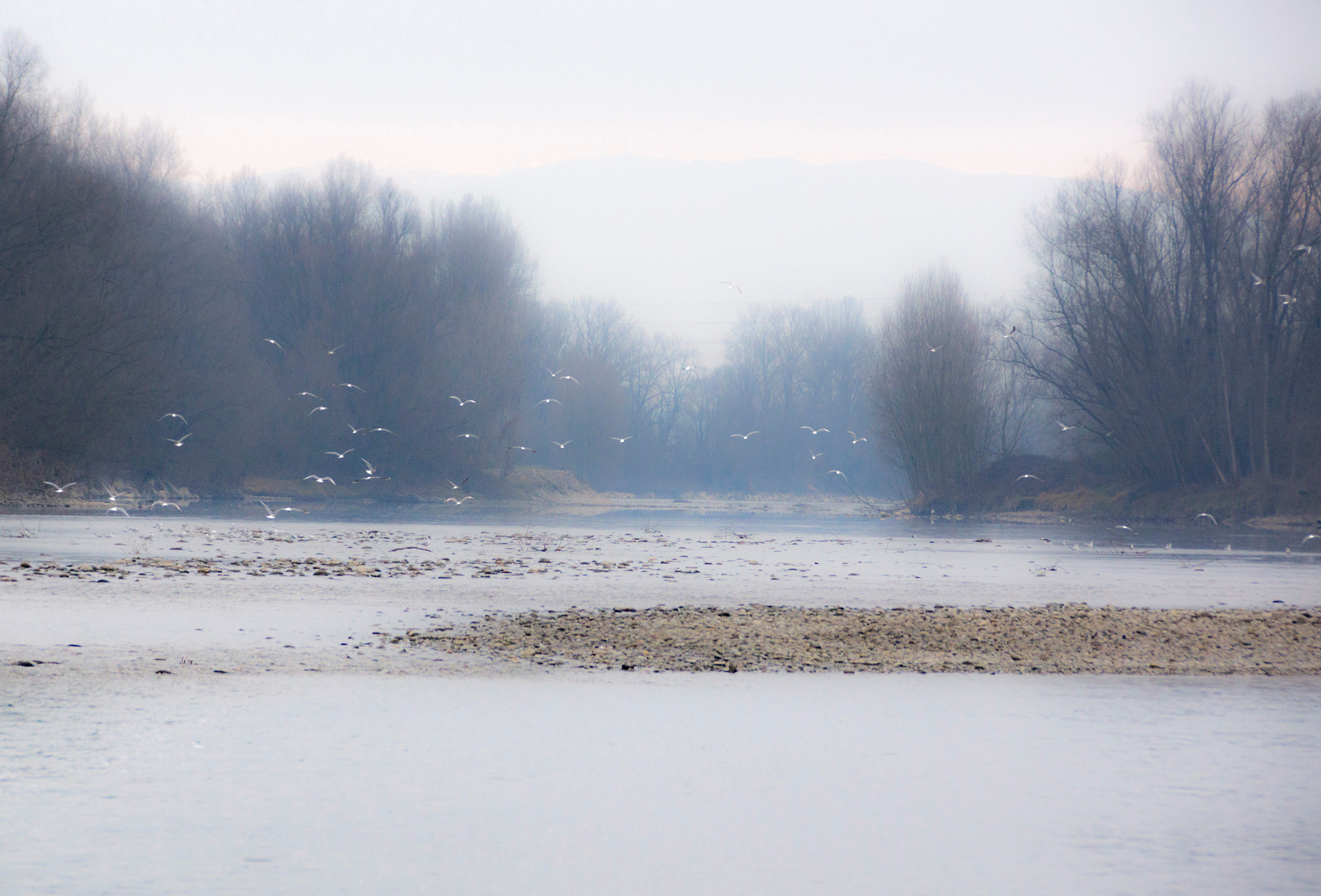 Sony SLT-A77 sample photo. River photography