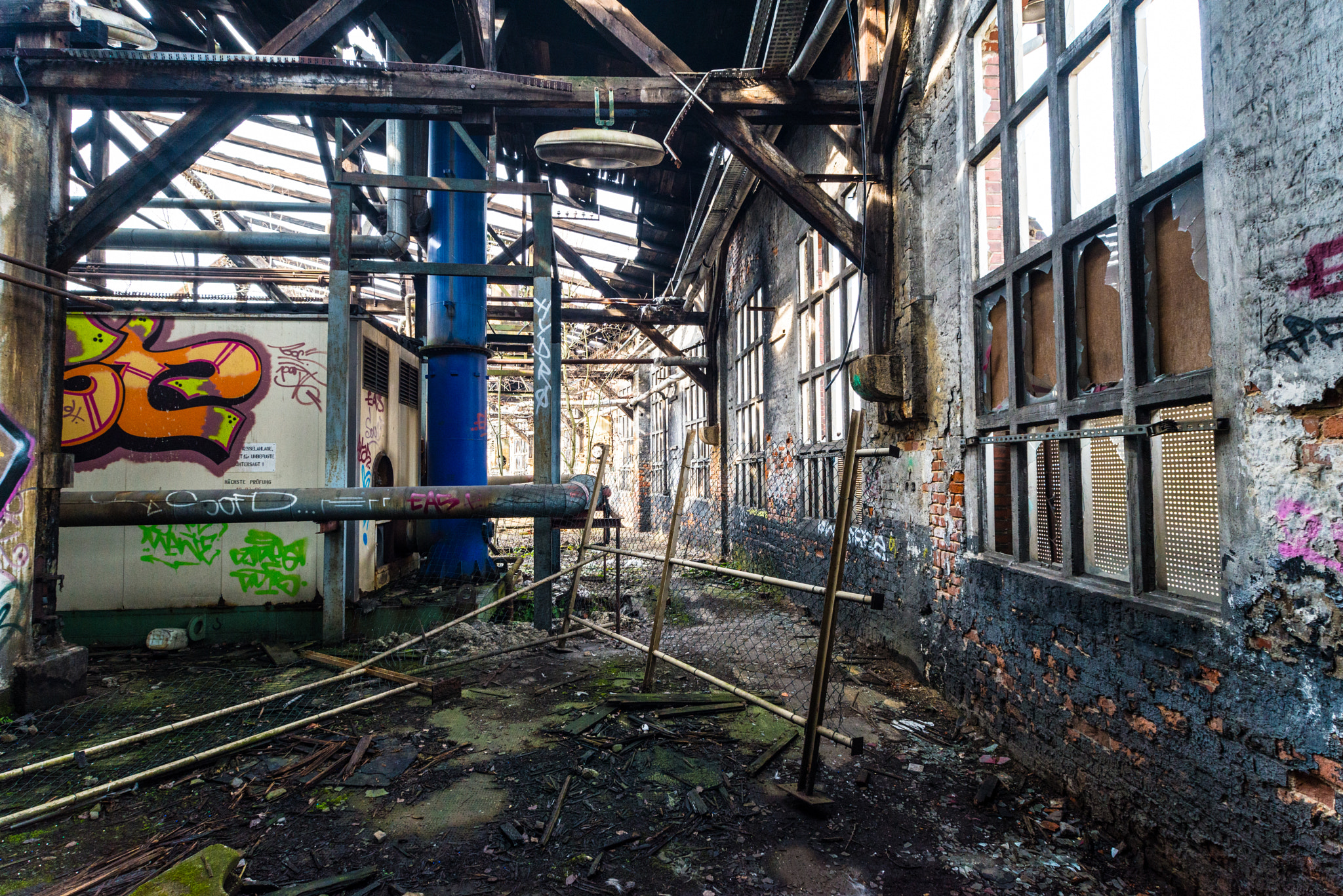 Nikon D610 + Sigma 17-35mm F2.8-4 EX Aspherical sample photo. The last of us photography